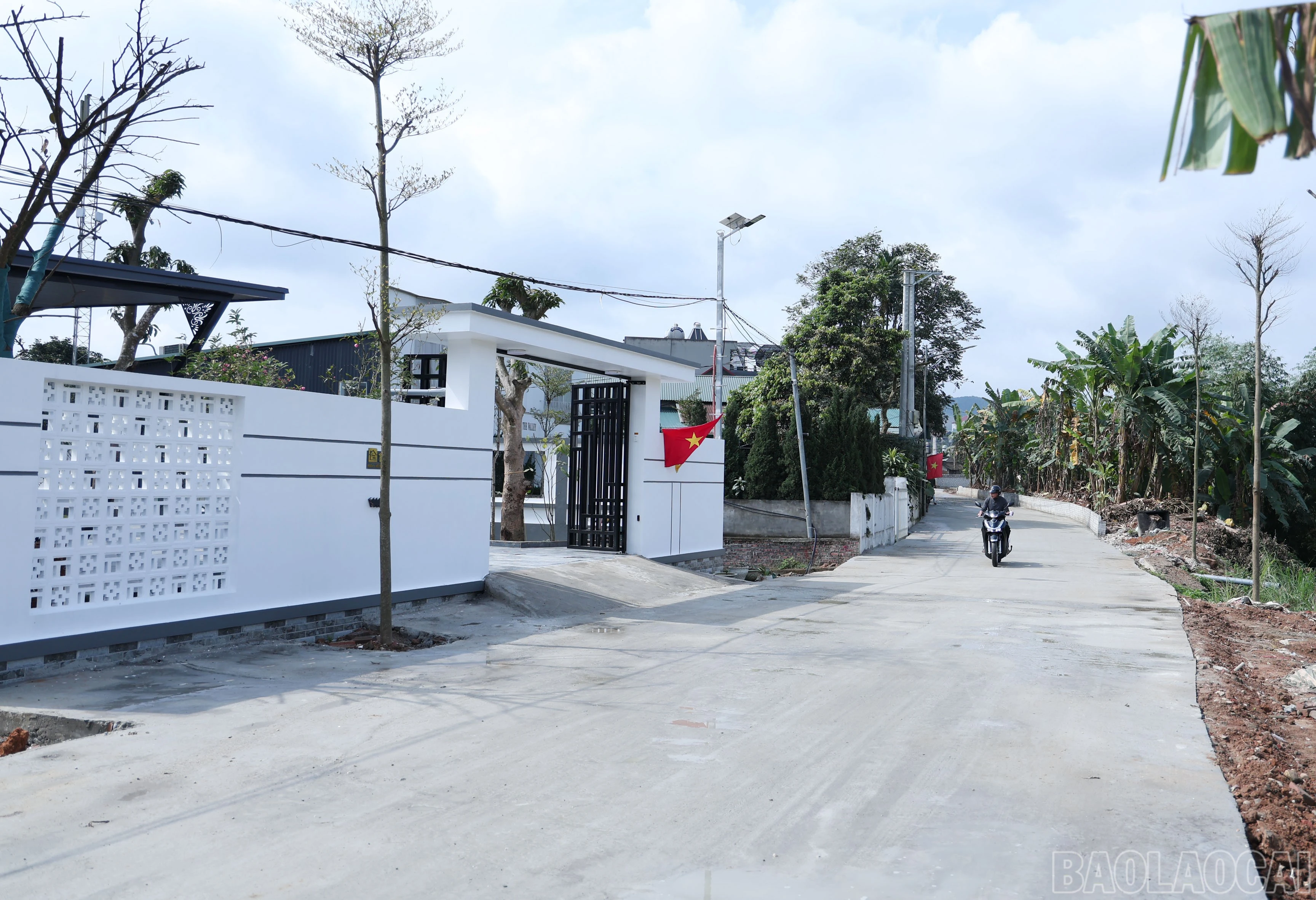 baolaocai-br_img-9804.jpg