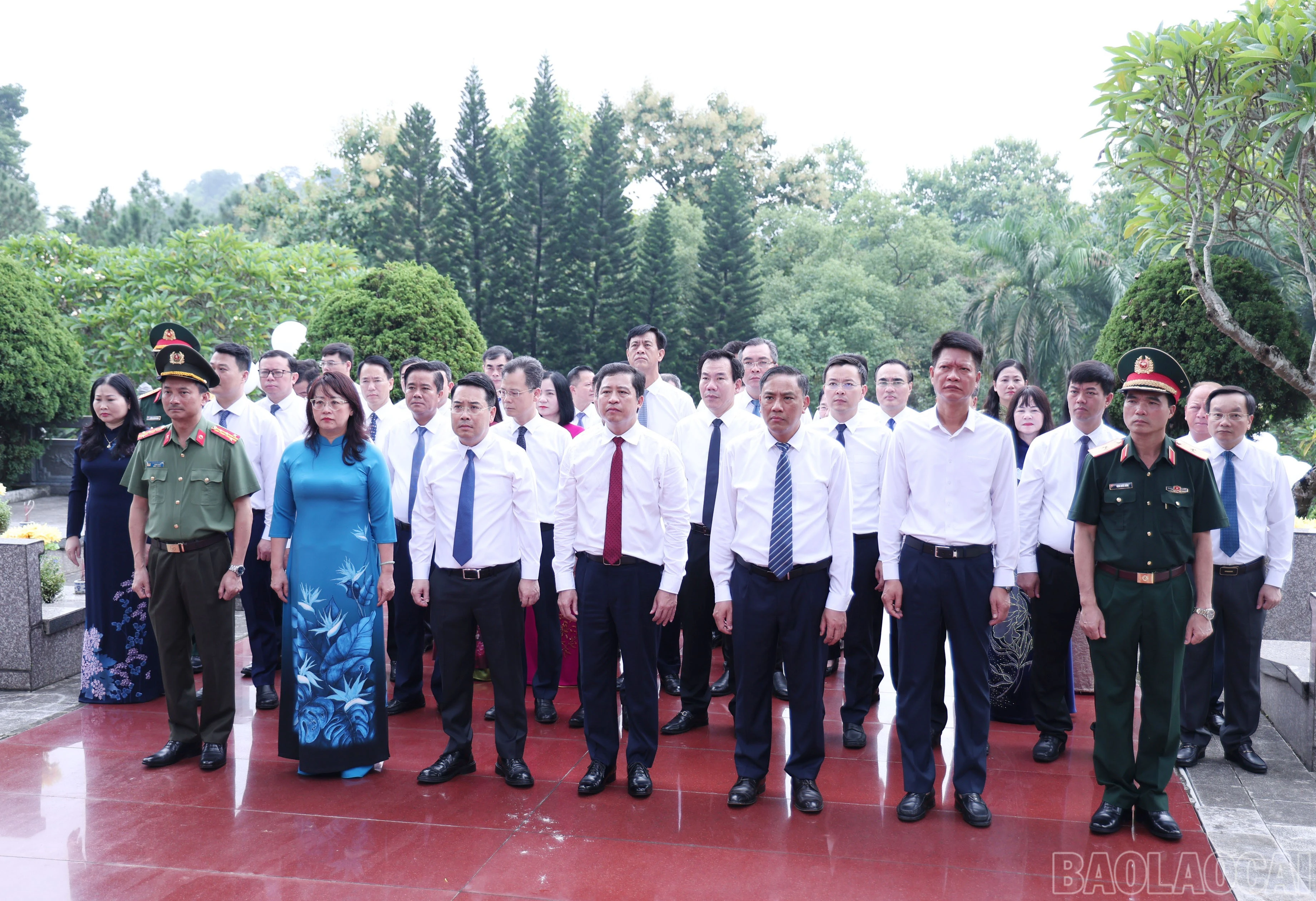 baolaocai-br_img-4271.jpg