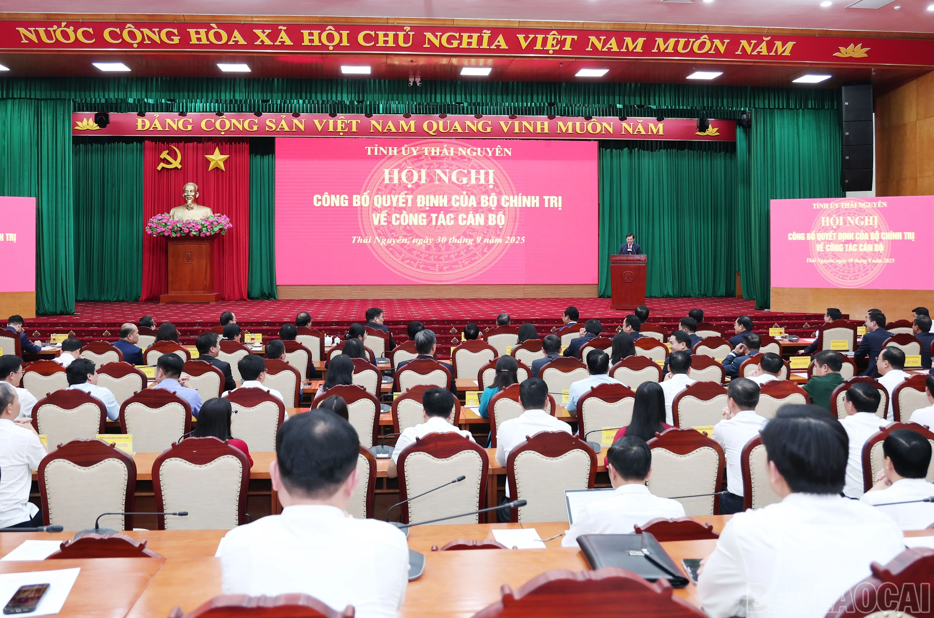 baolaocai-br_img-3431.jpg