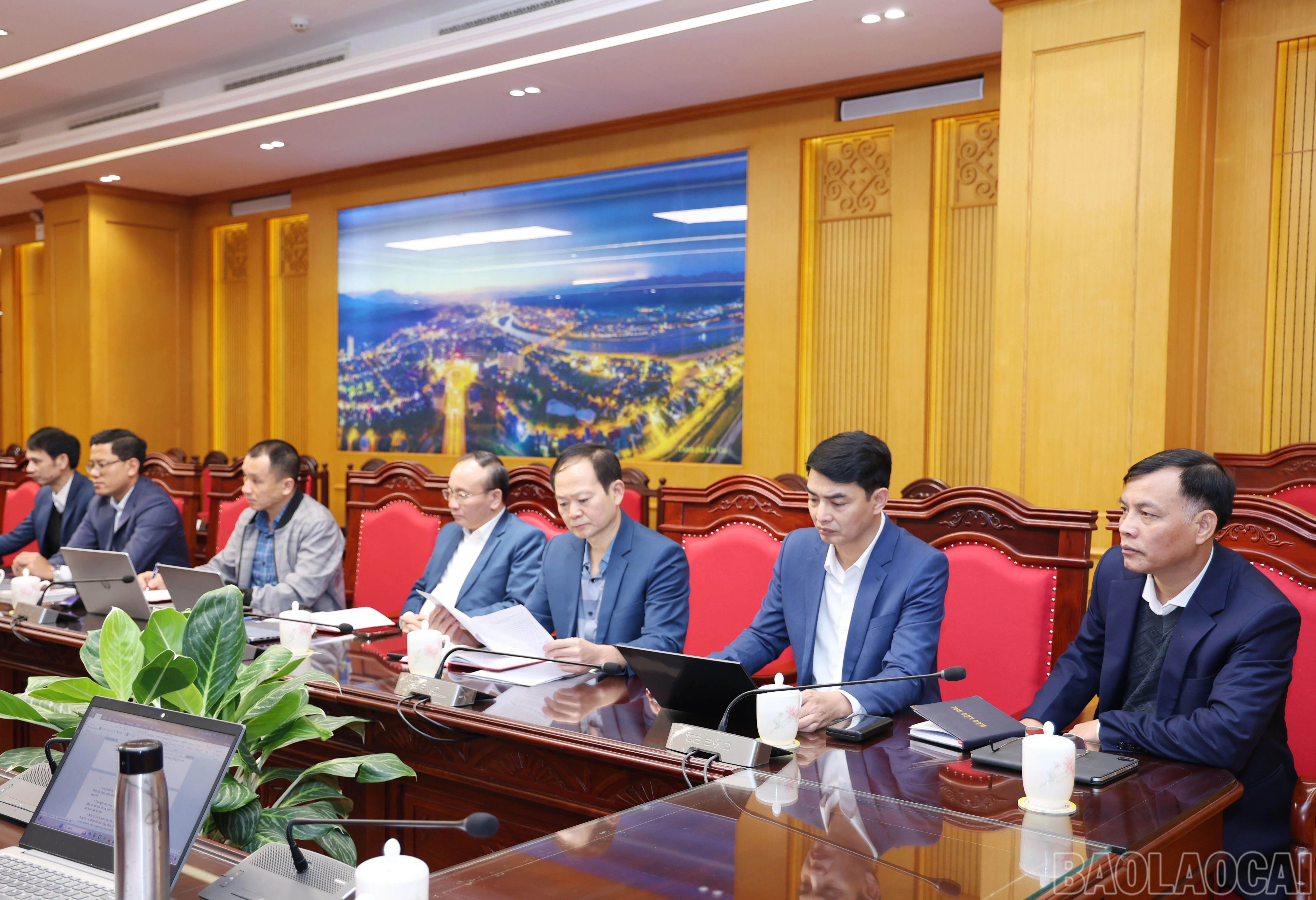 baolaocai-br_2117.jpg