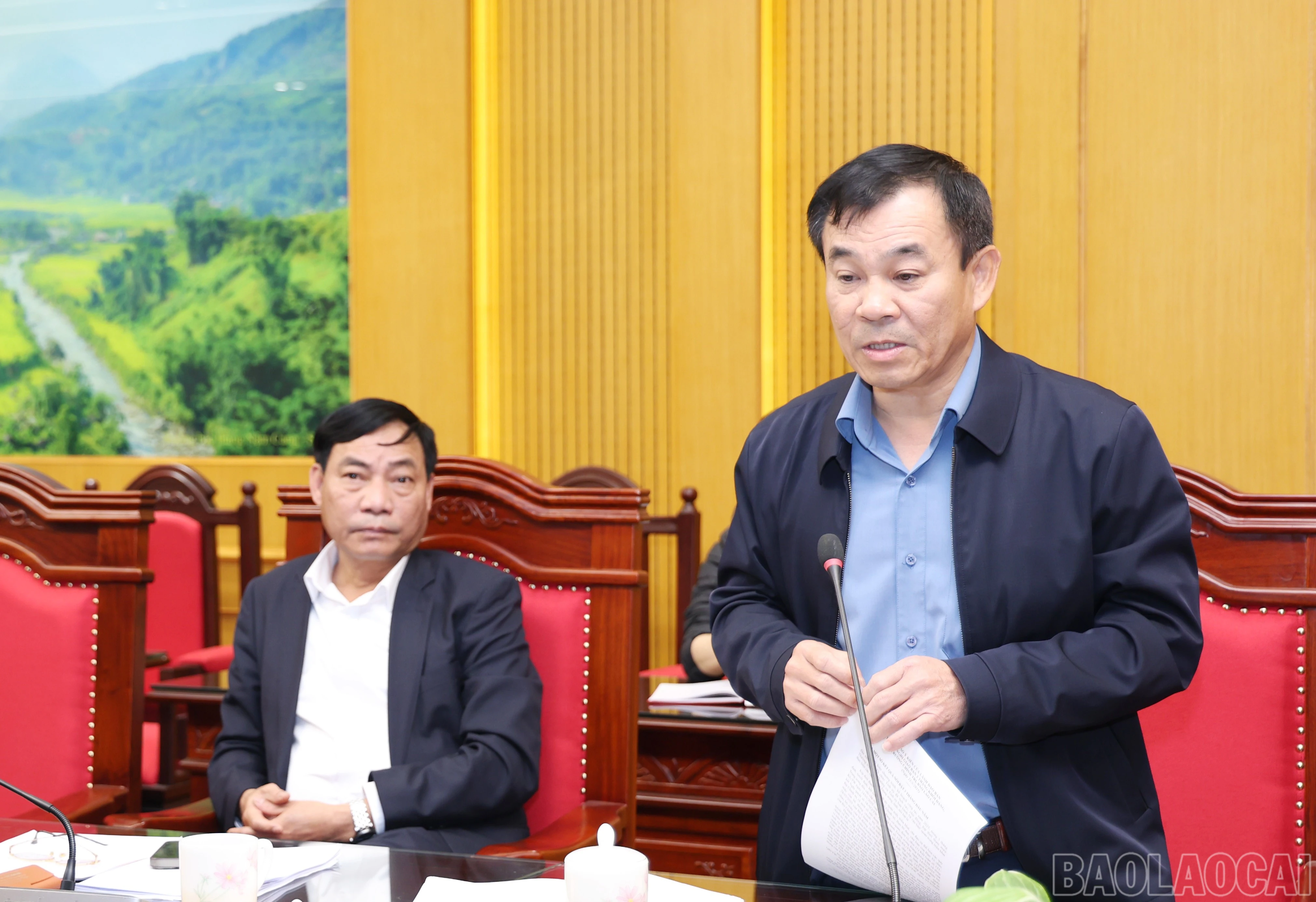 baolaocai-br_2139.jpg