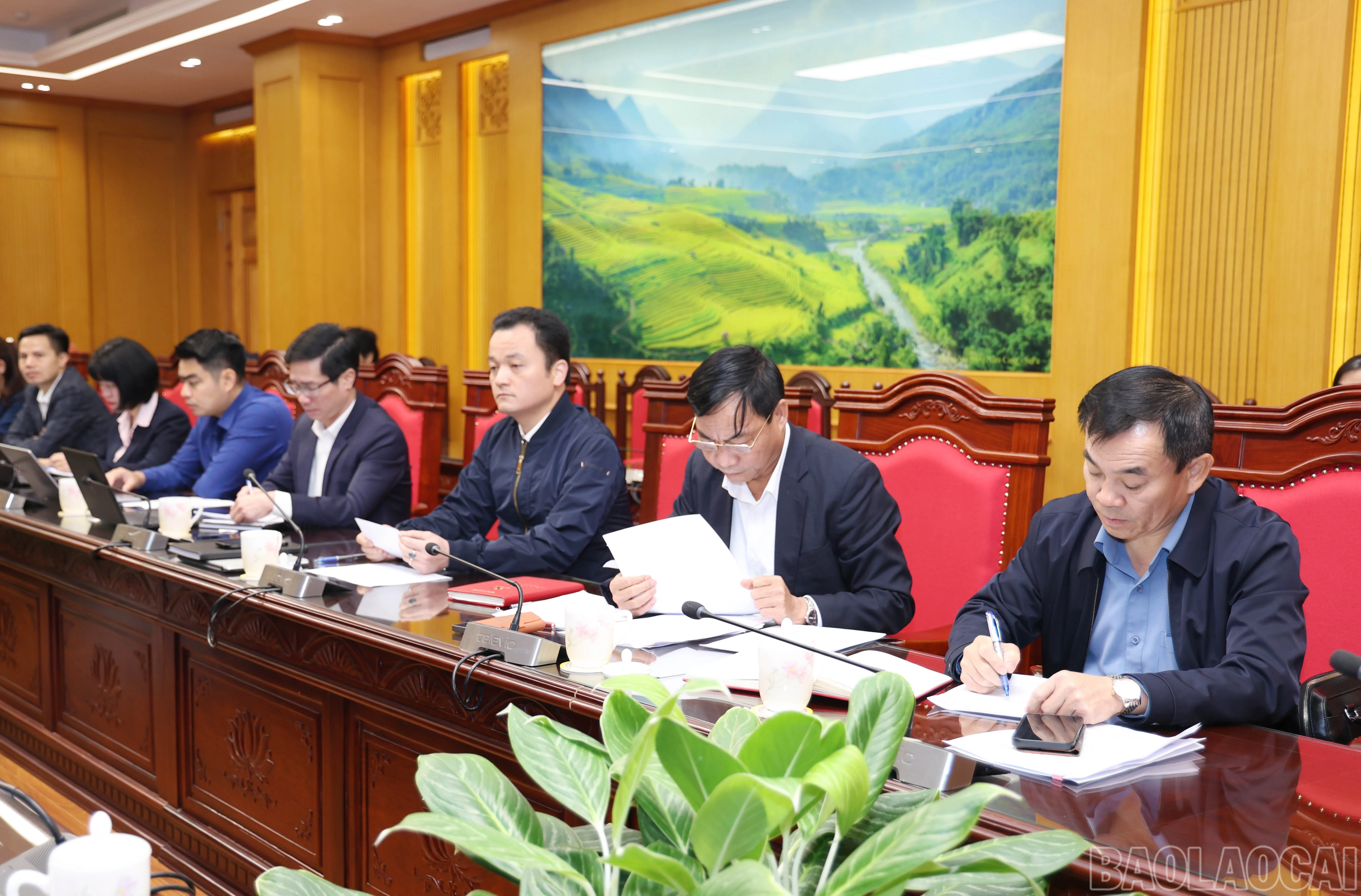 baolaocai-br_2134.jpg