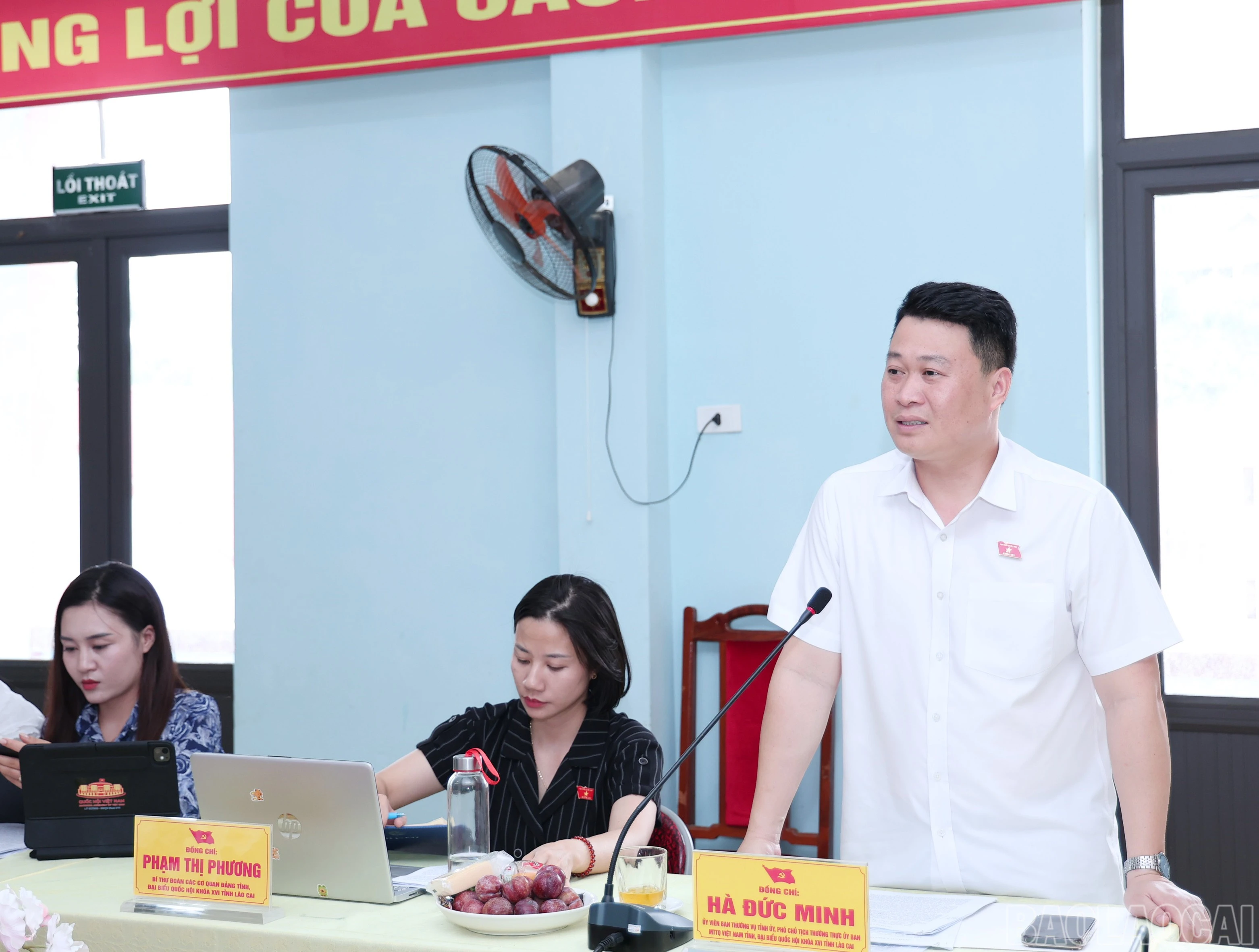 baolaocai-br_img-5972.jpg
