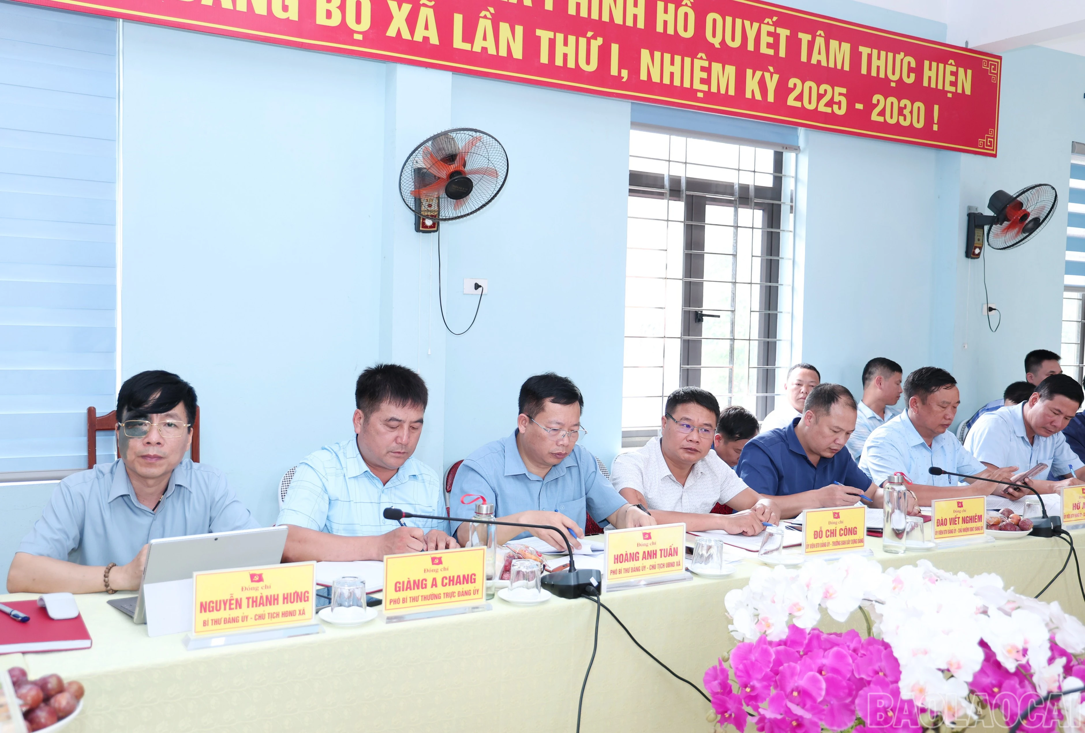 baolaocai-br_img-5904.jpg
