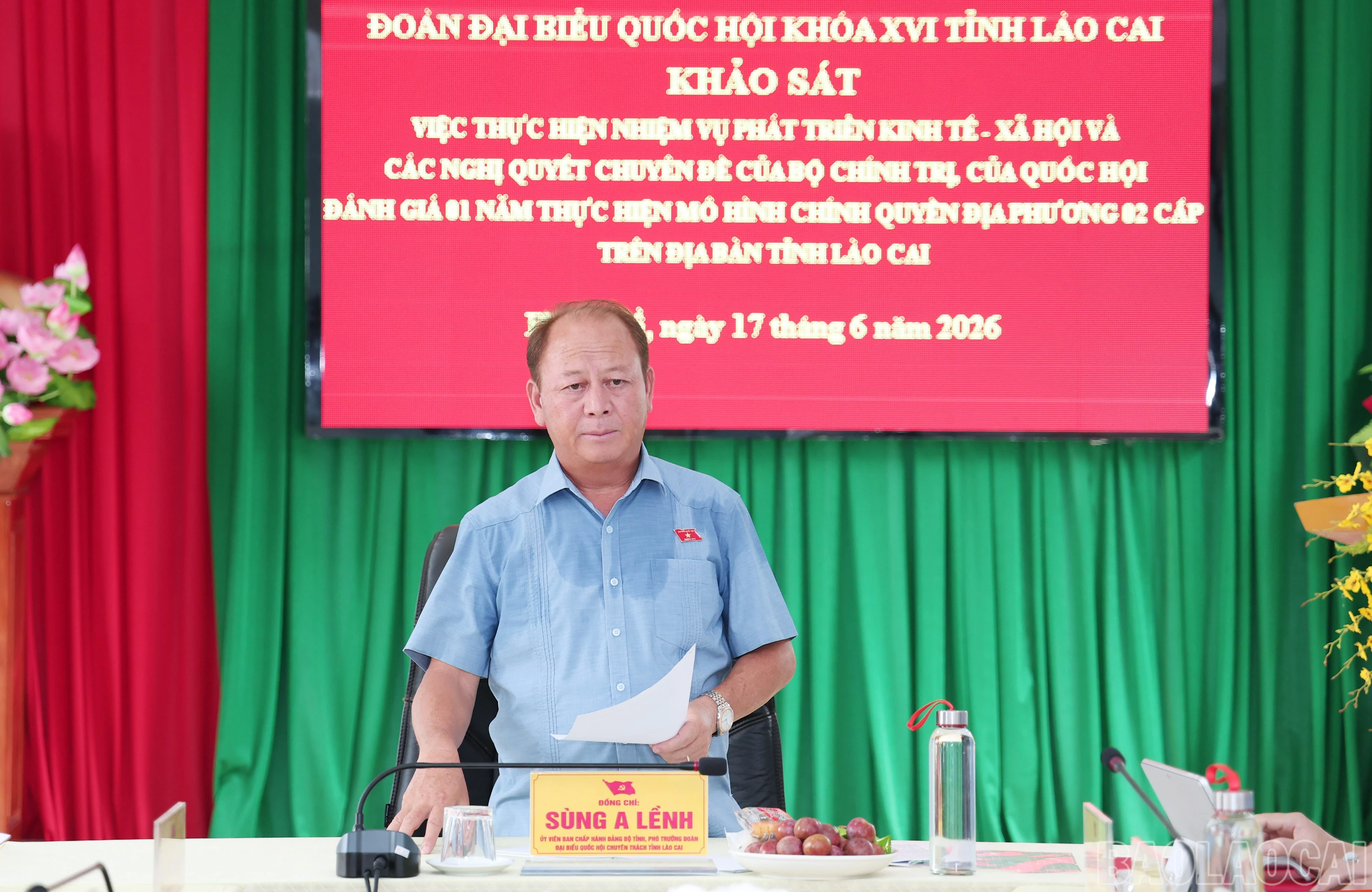baolaocai-br_img-5893.jpg