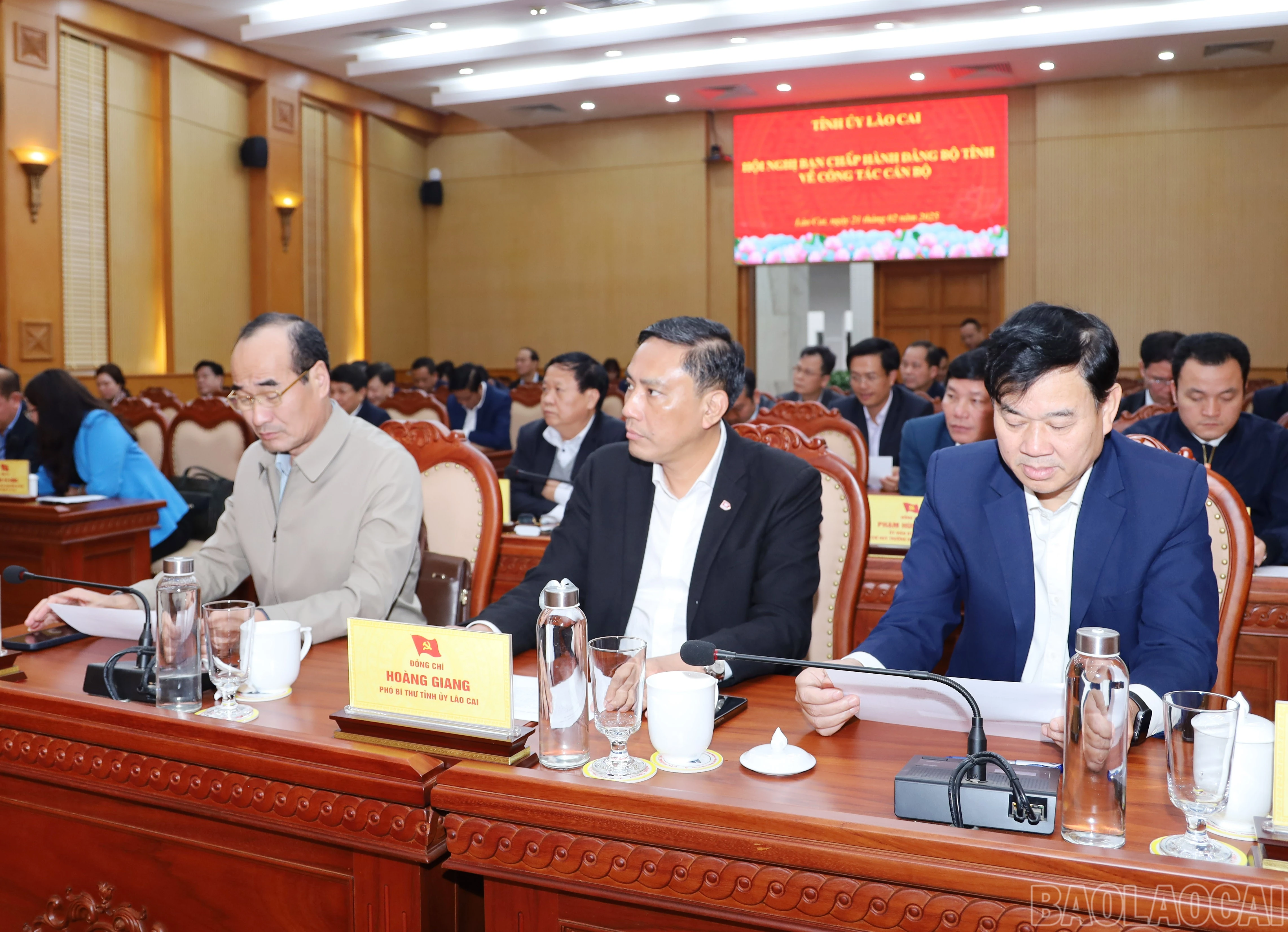 baolaocai-br_0373.jpg