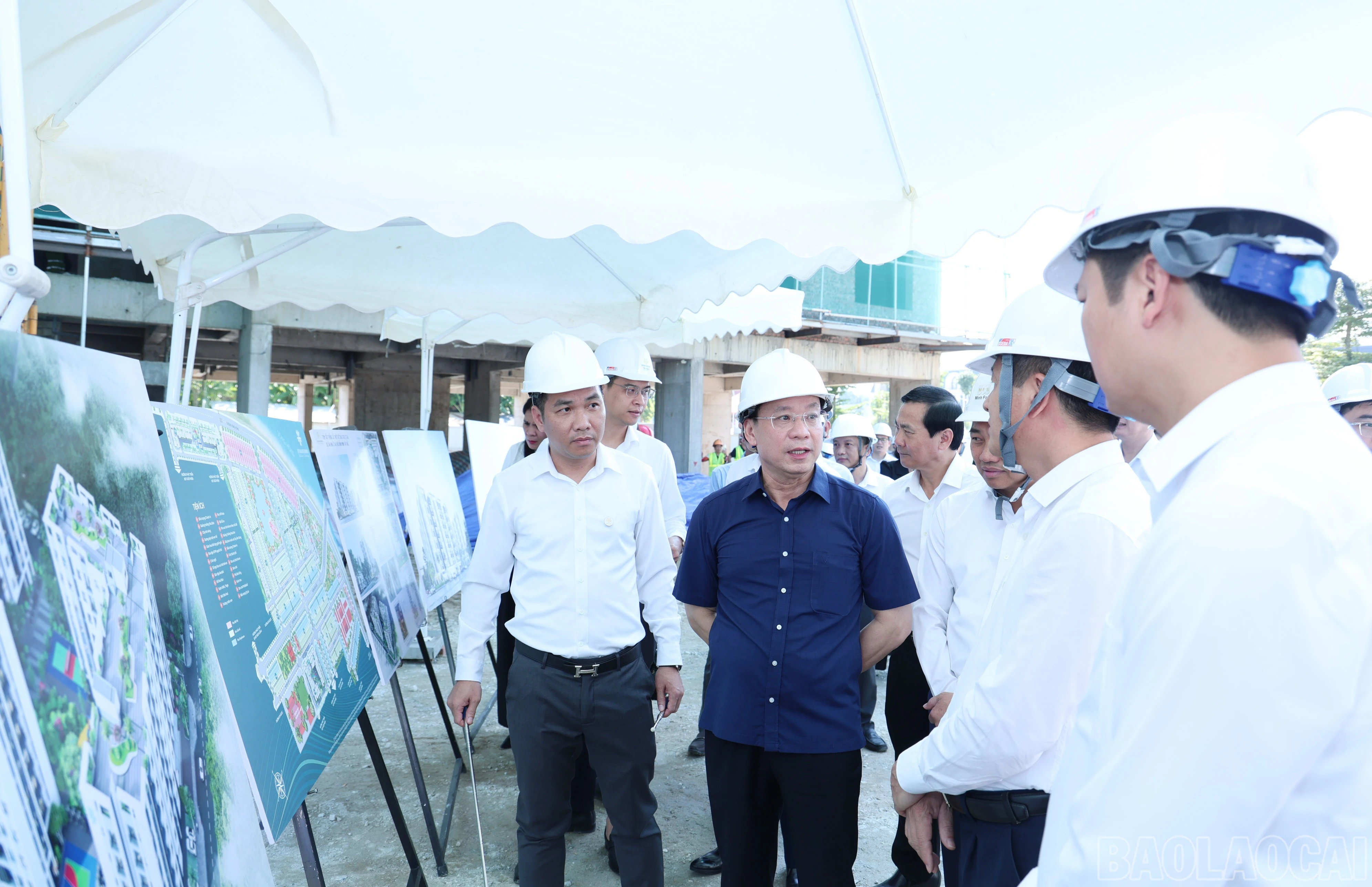 baolaocai-br_img-0034.jpg