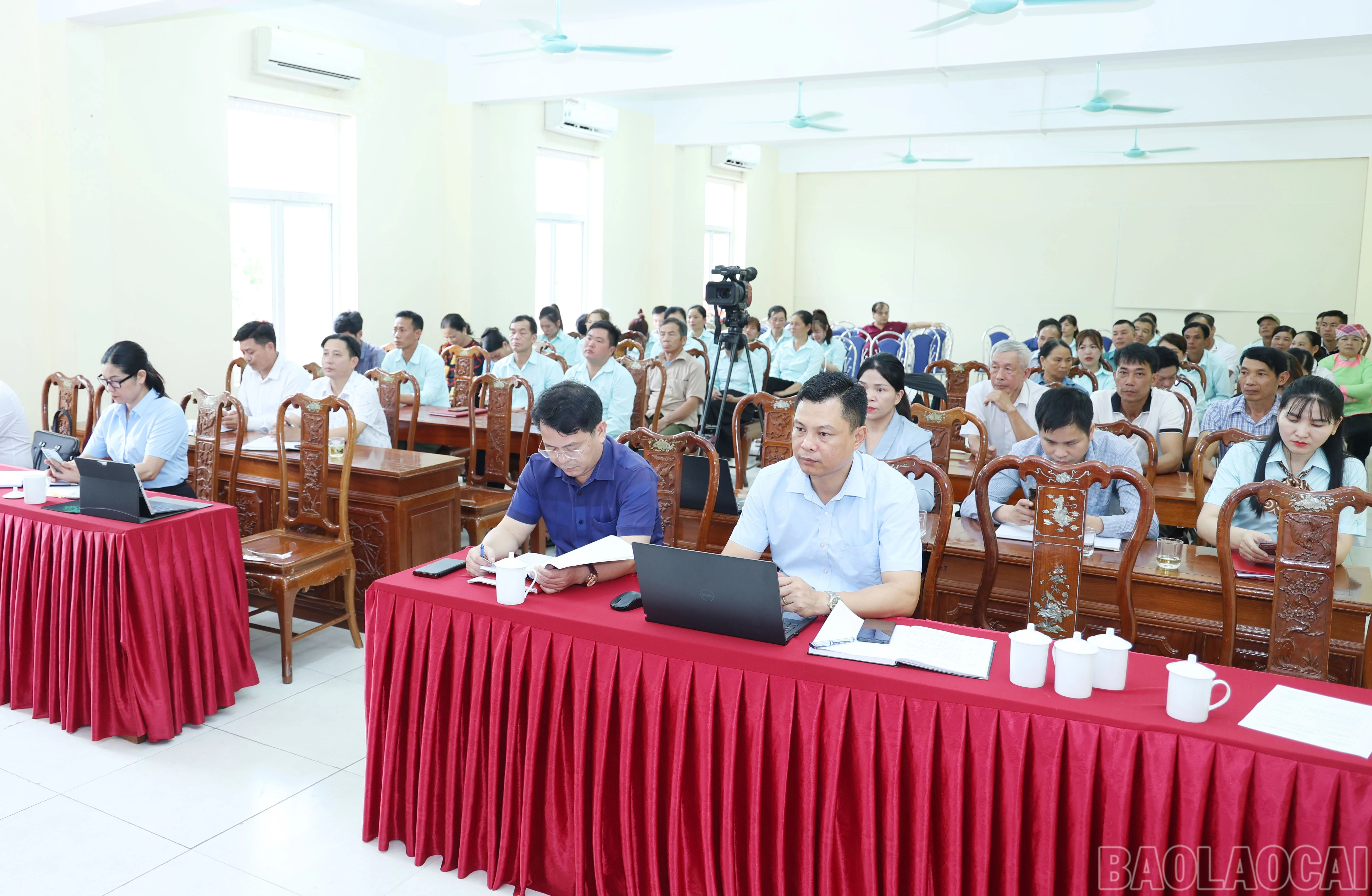 baolaocai-br_6612.jpg