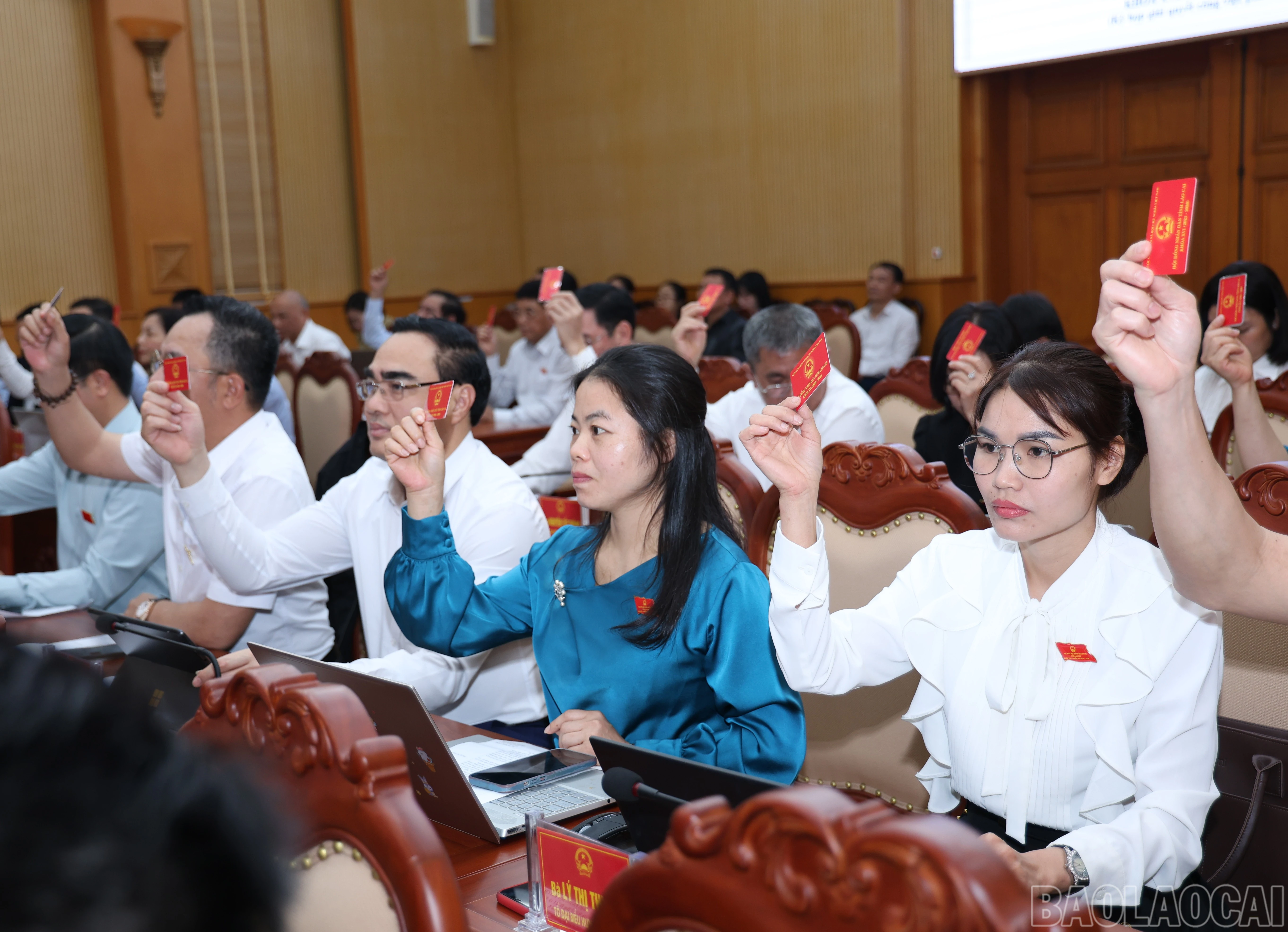 baolaocai-br_2571.jpg
