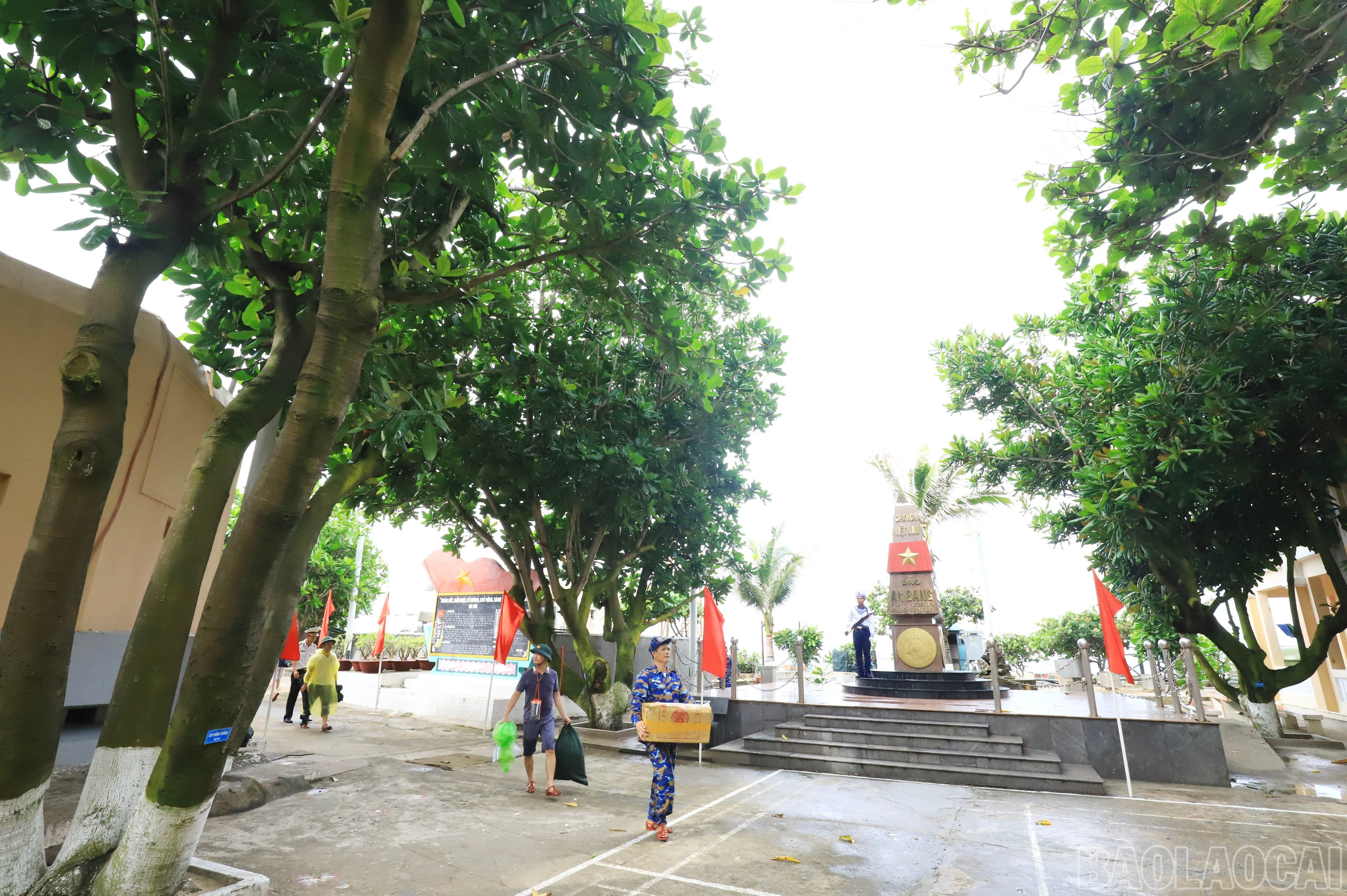 baolaocai-br_1094.jpg