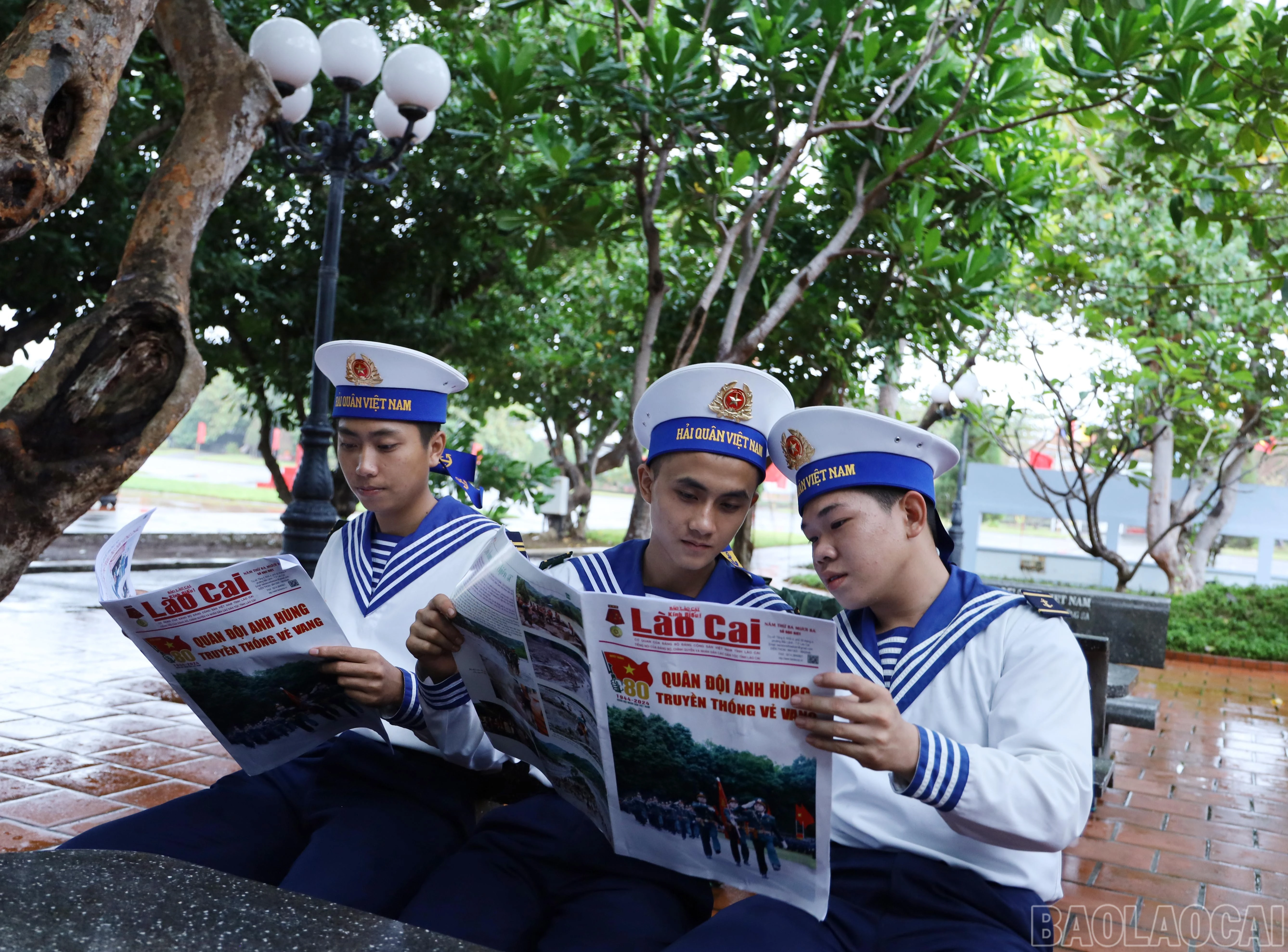 baolaocai-br_9174.jpg