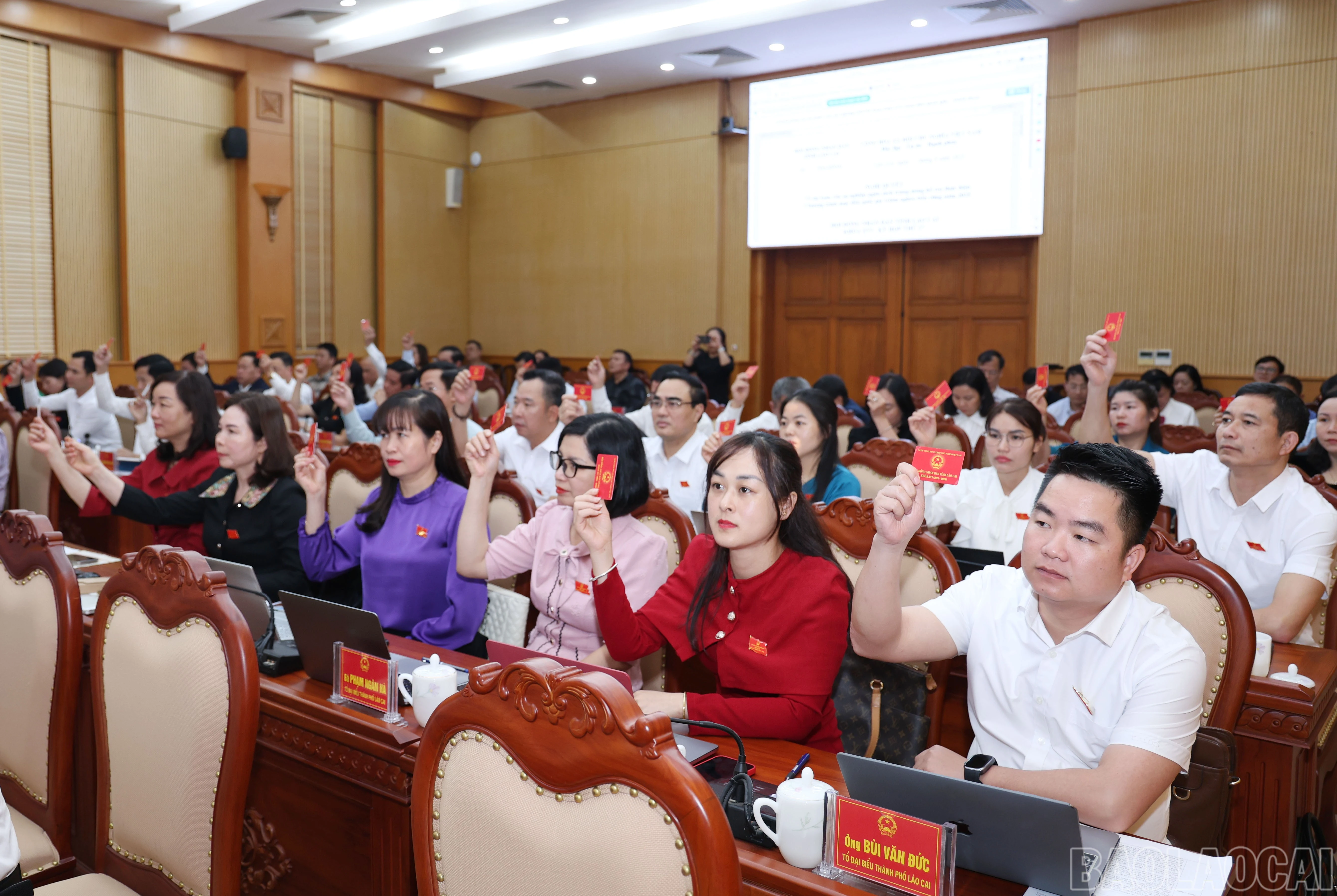 baolaocai-br_2566.jpg
