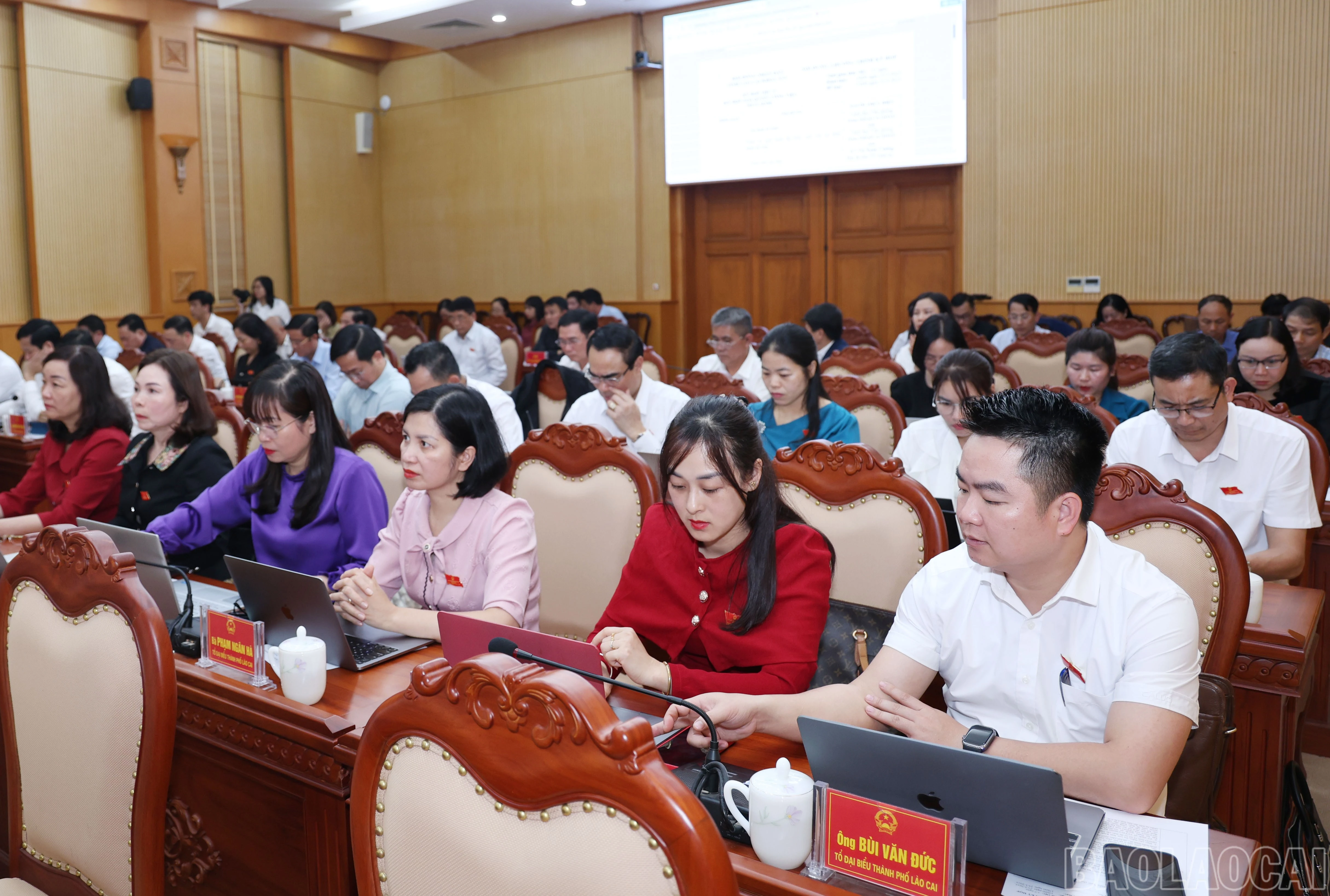 baolaocai-br_2511.jpg