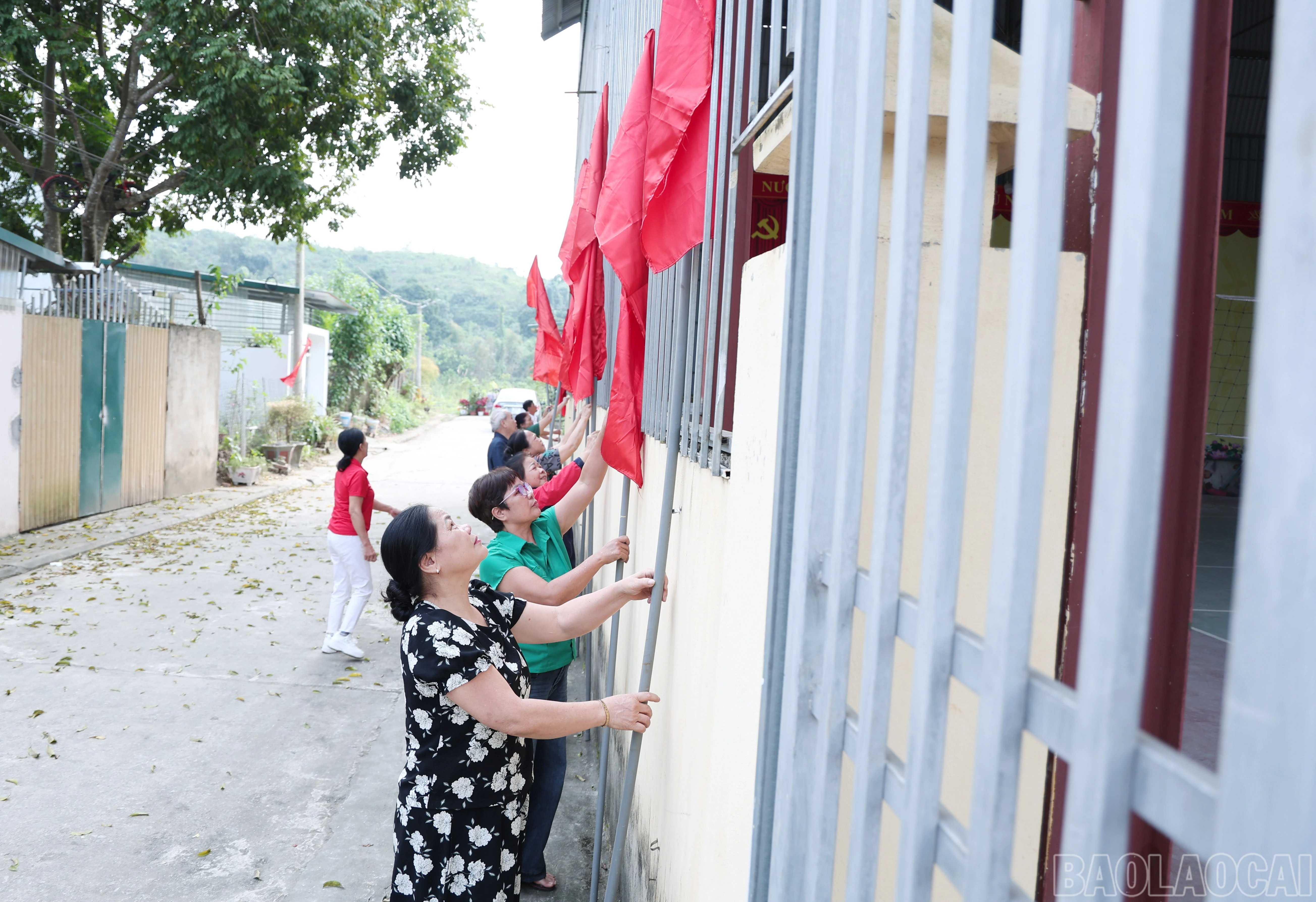 baolaocai-br_img-9863.jpg