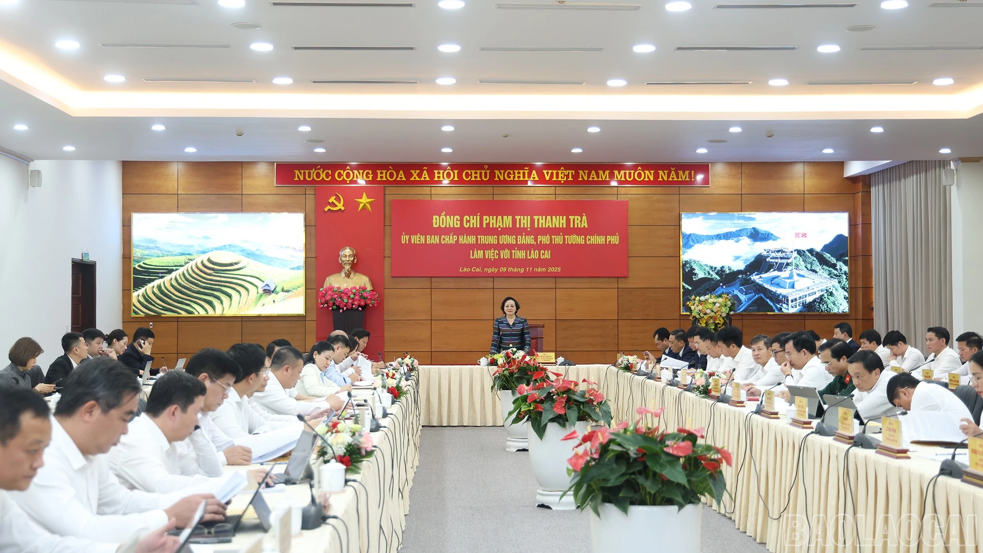 baolaocai-br_img-9155.jpg