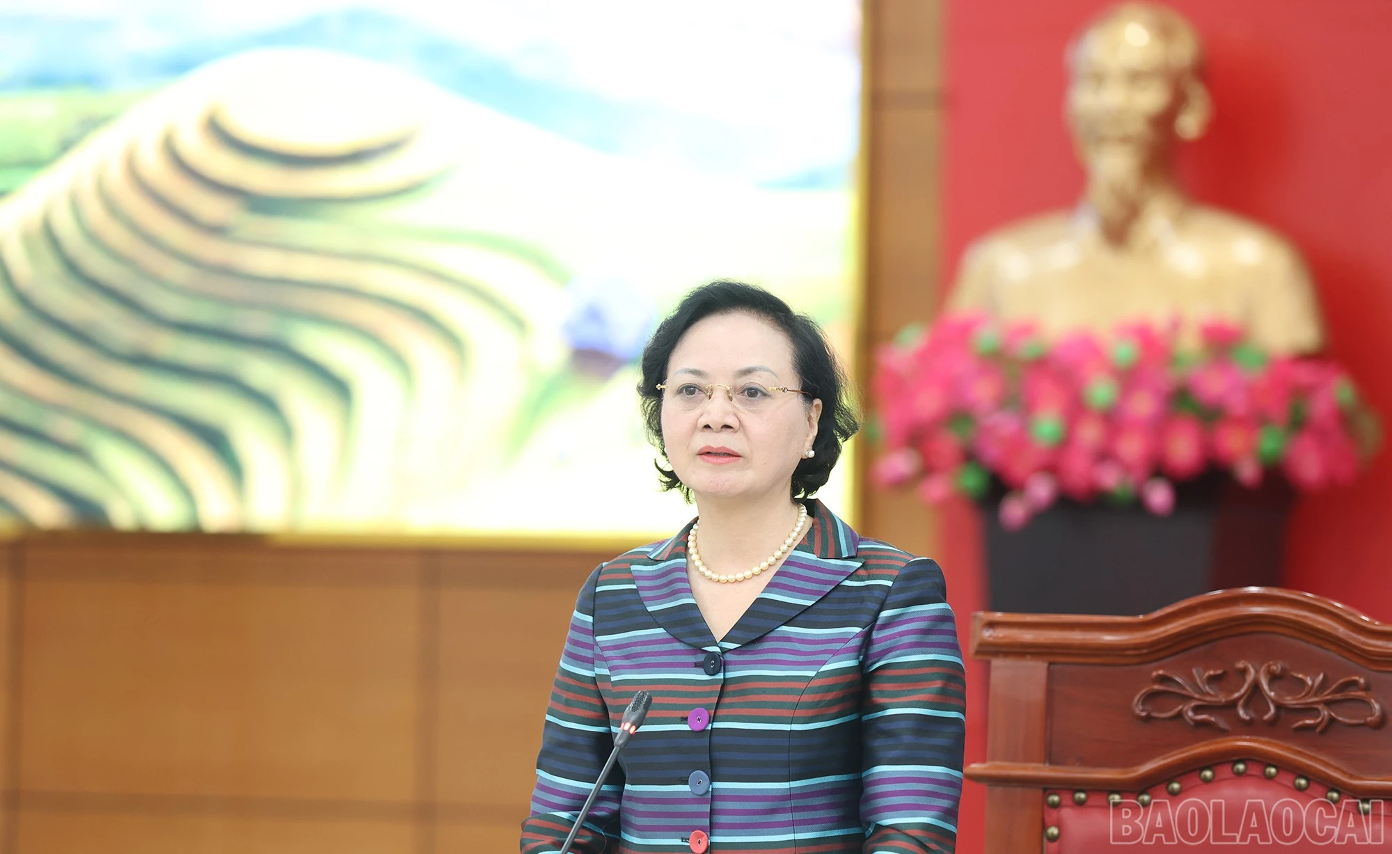 baolaocai-br_img-9350.jpg