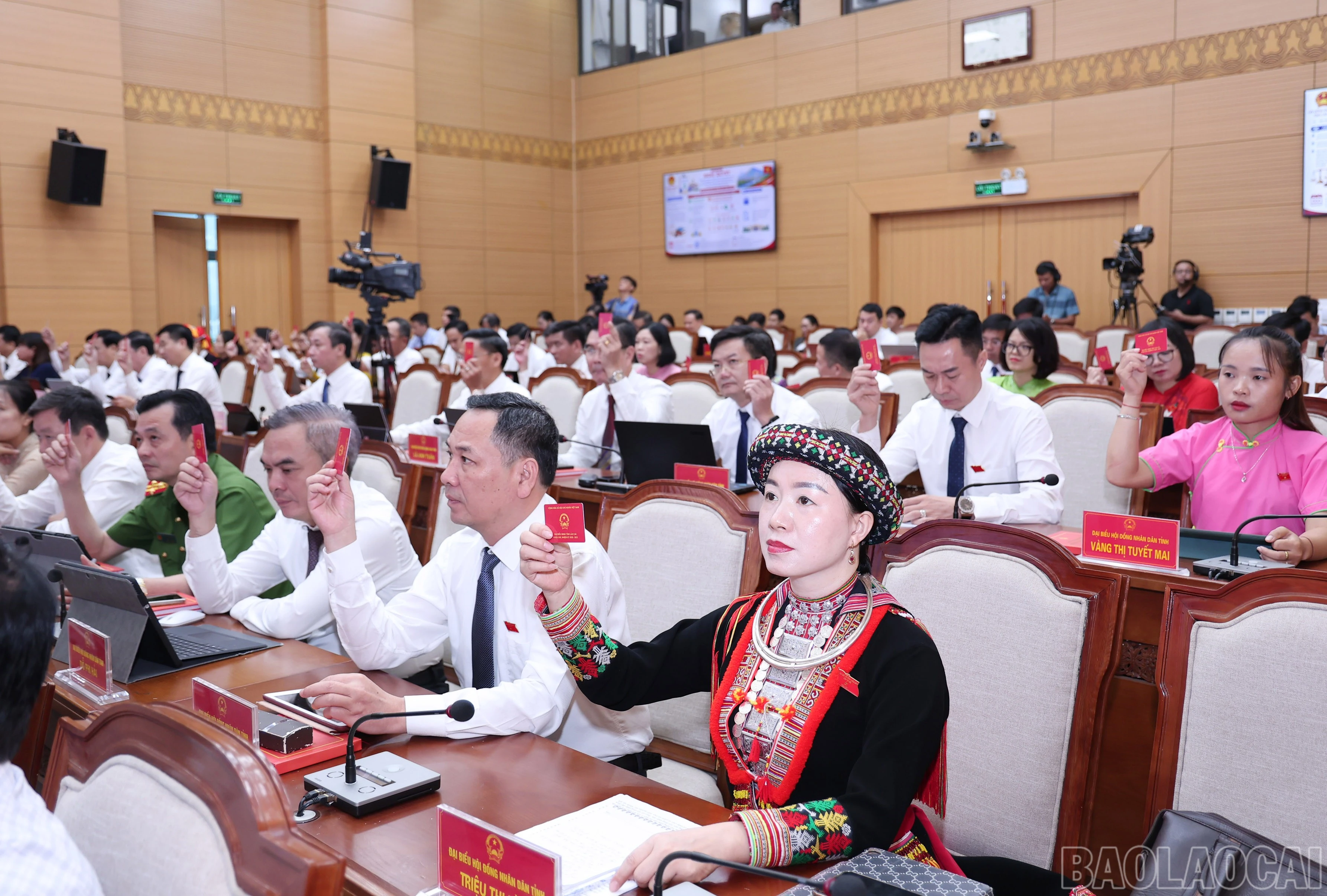 baolaocai-br_img-9446.jpg