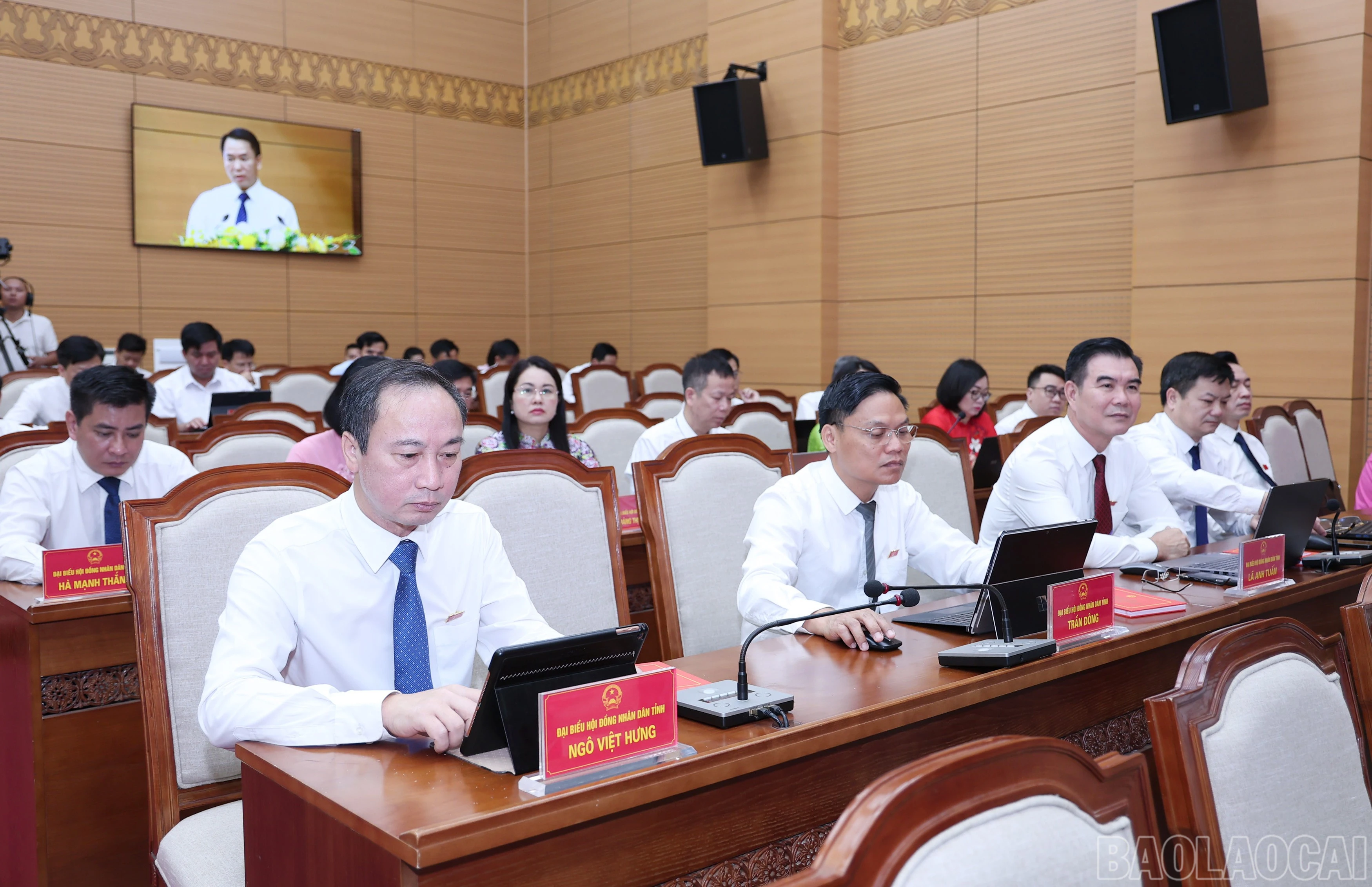 baolaocai-br_img-9201.jpg