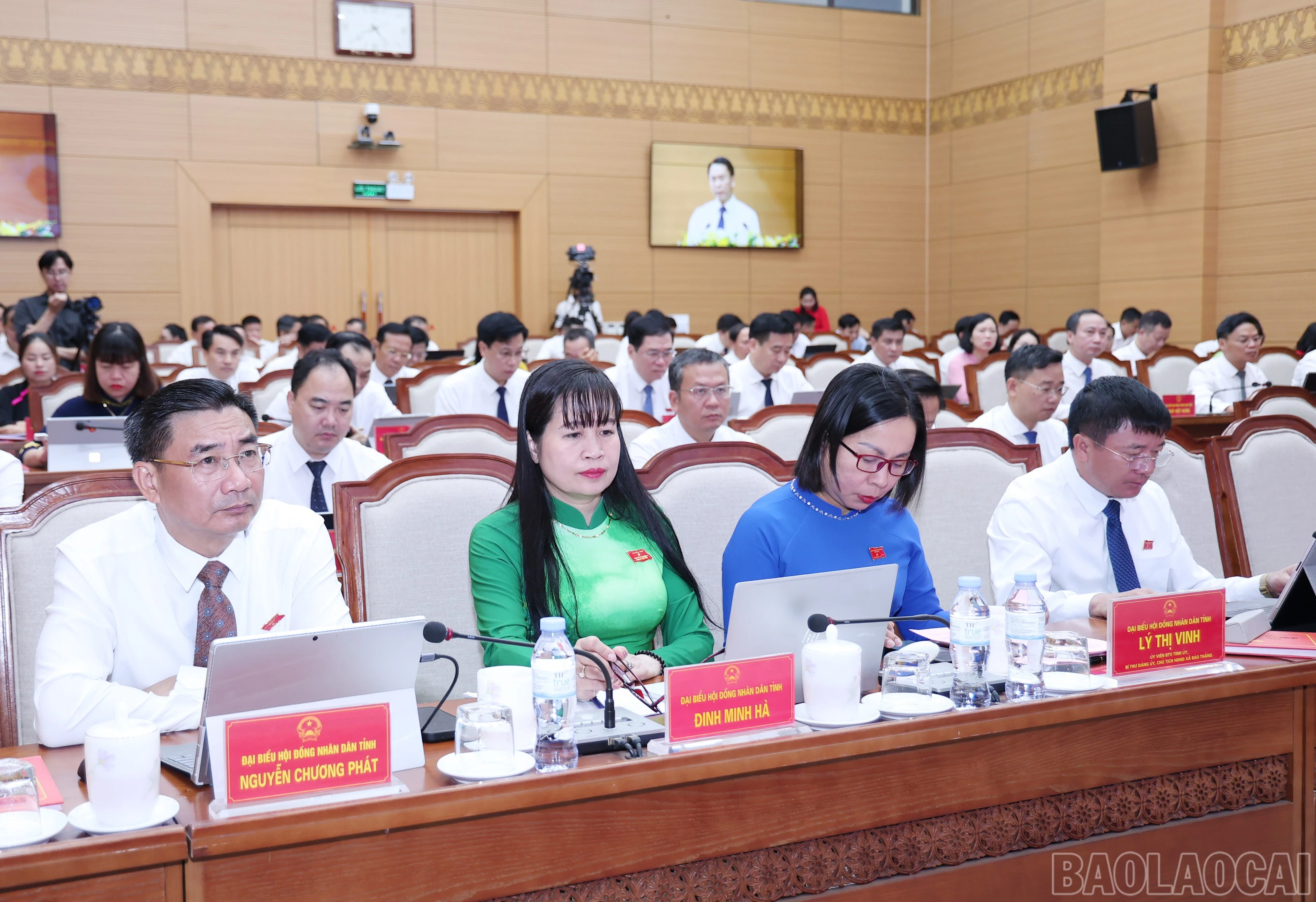 baolaocai-br_img-9229.jpg