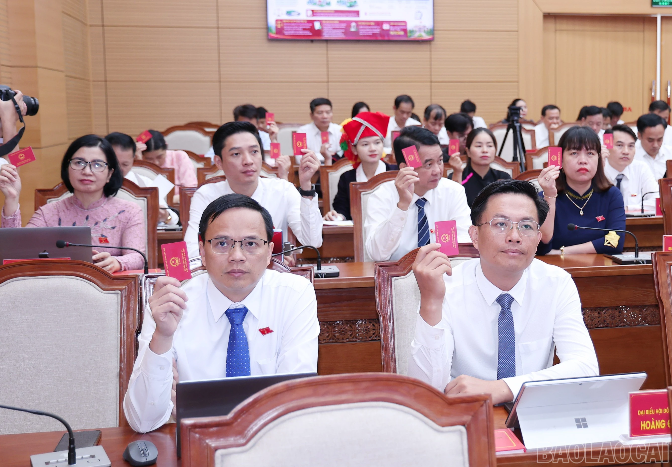 baolaocai-br_img-9432.jpg