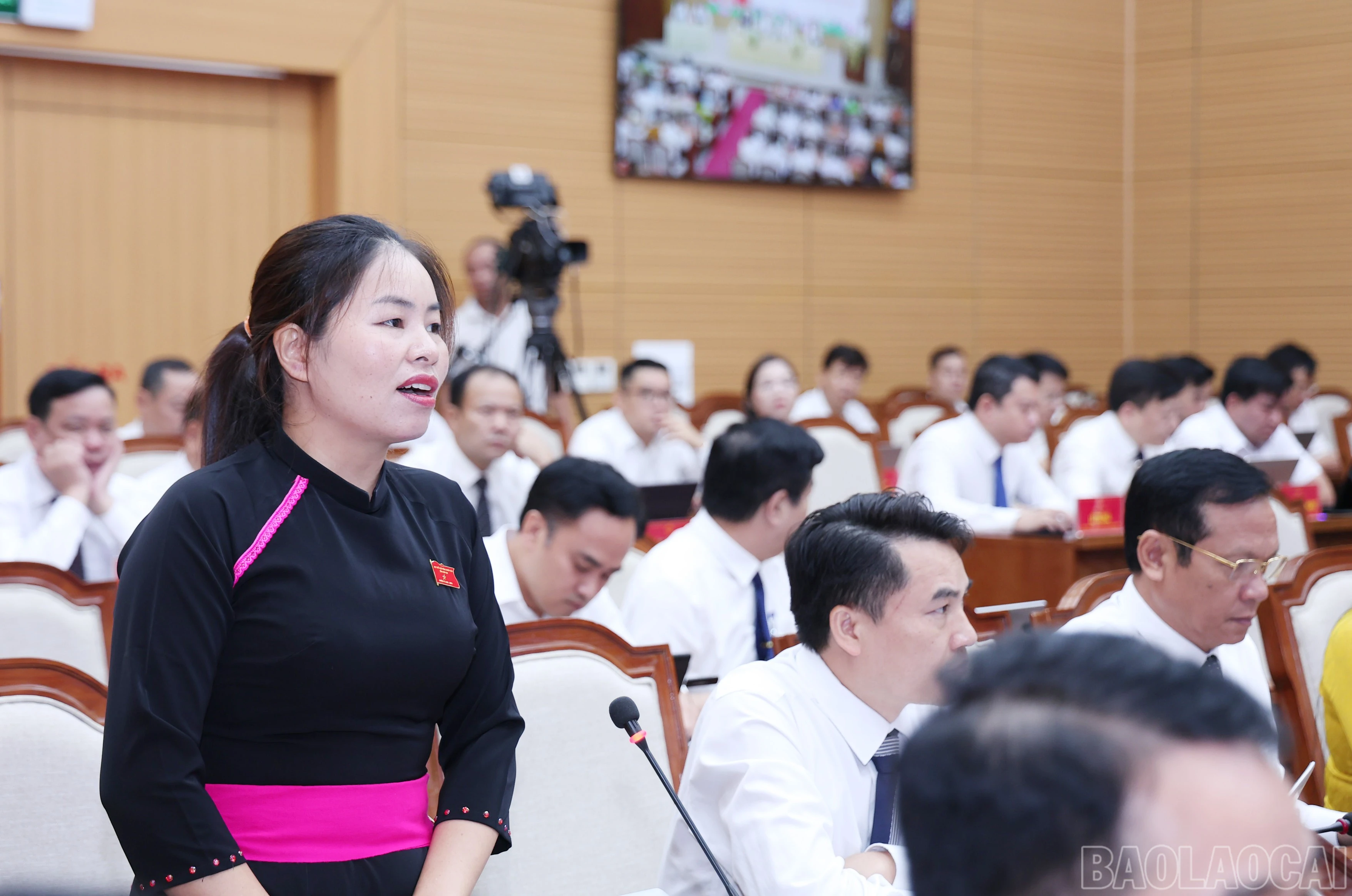 baolaocai-br_img-9324.jpg