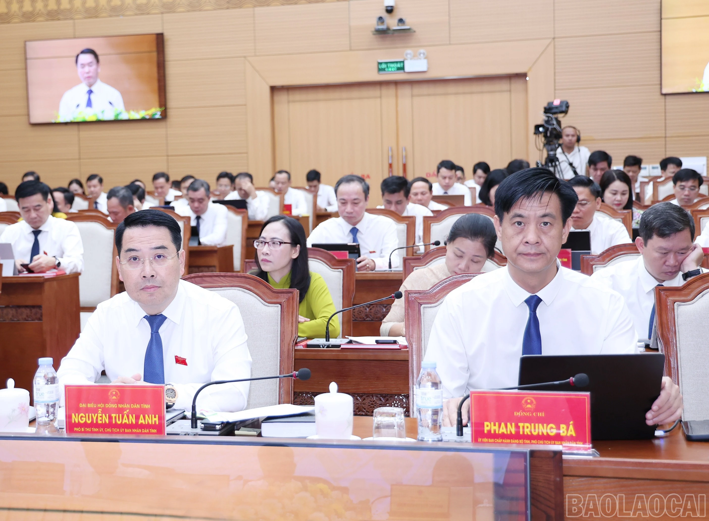 baolaocai-br_img-9183.jpg
