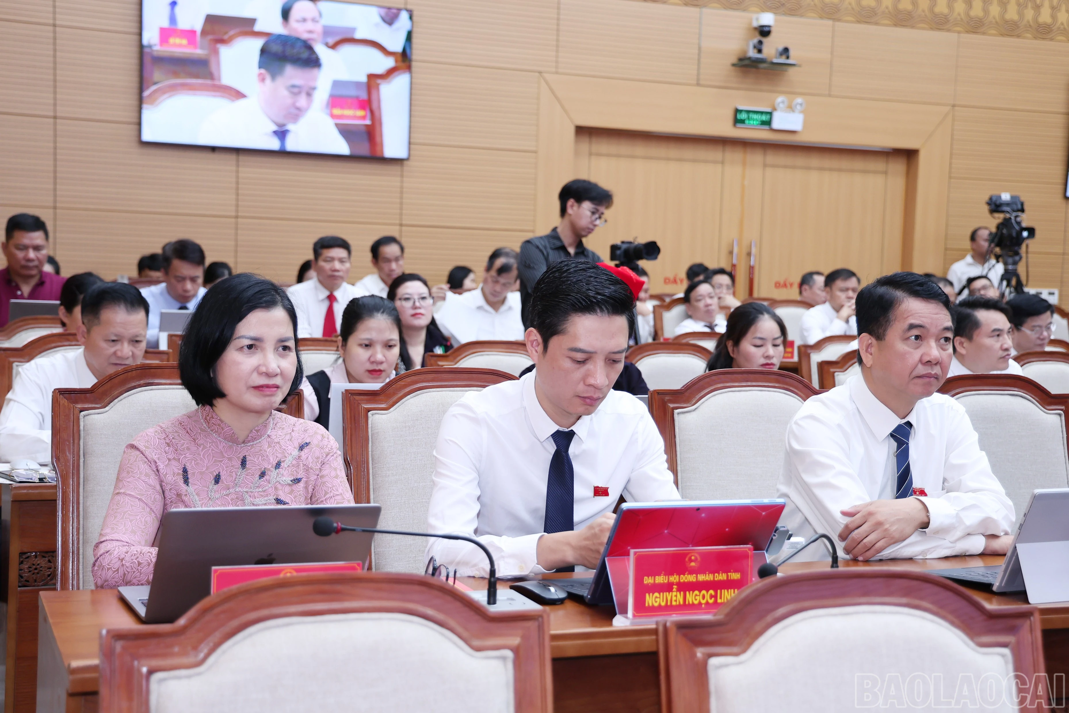 baolaocai-br_img-9238.jpg