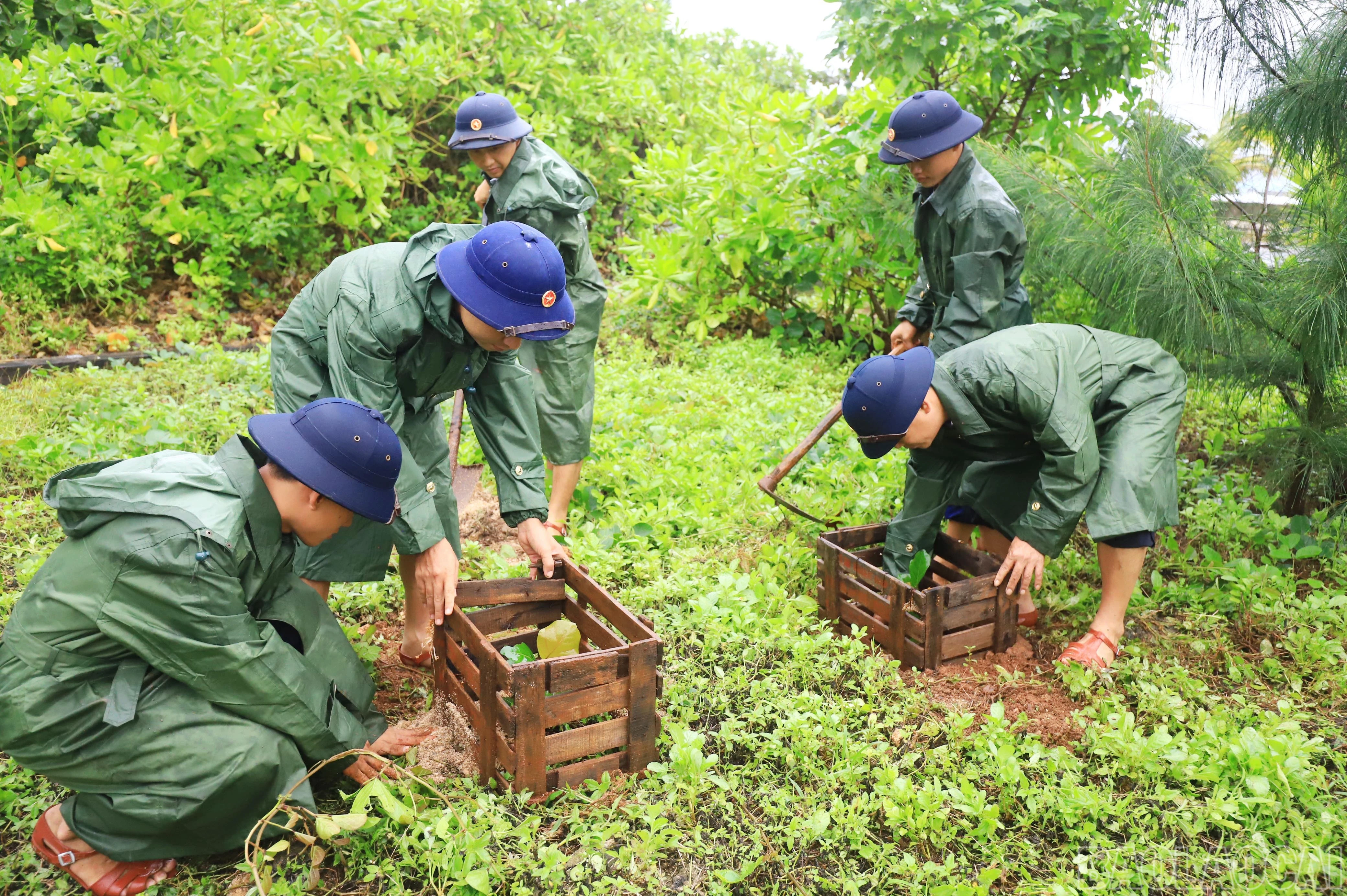 baolaocai-br_9923.jpg