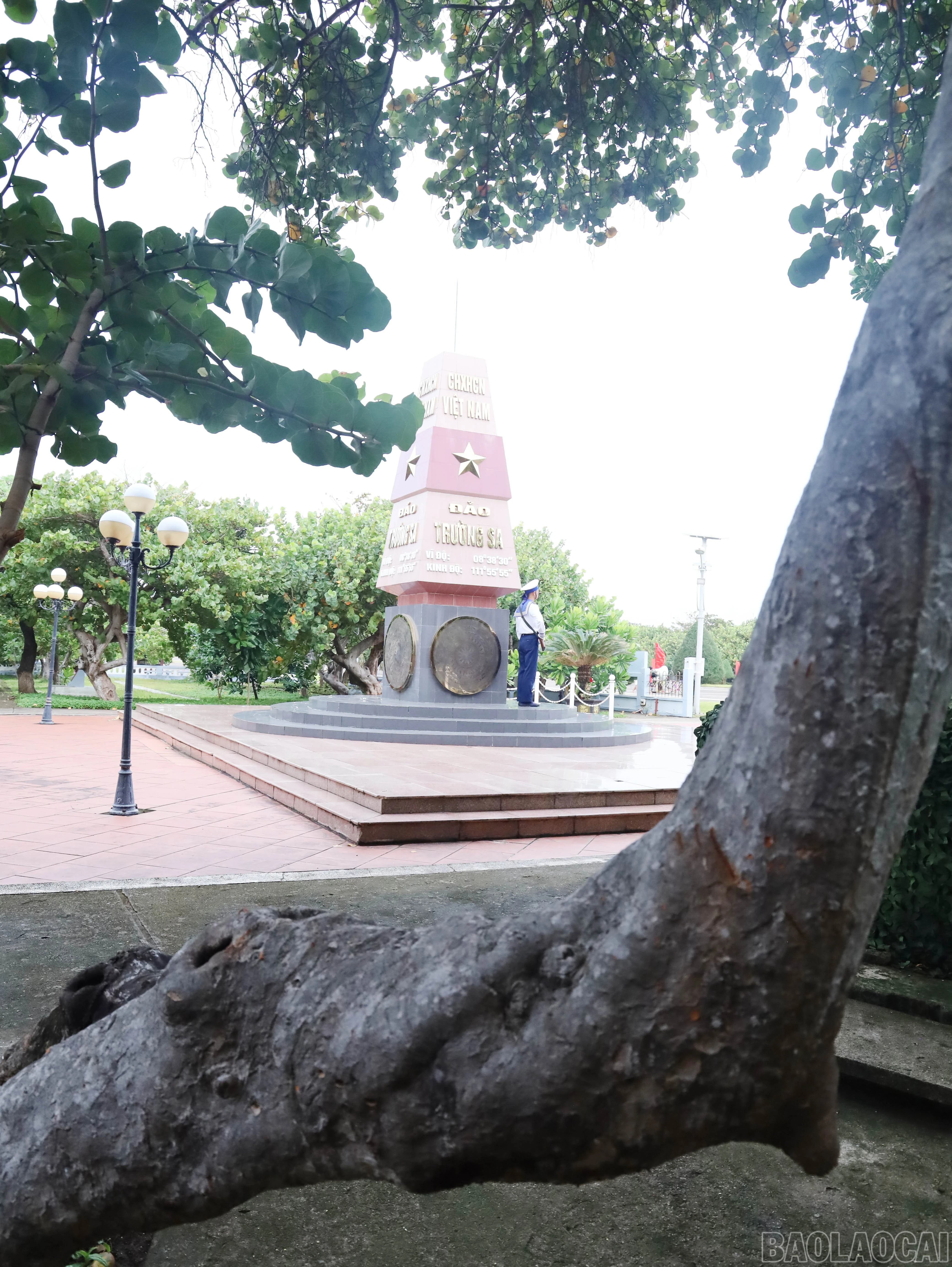 baolaocai-br_9024.jpg