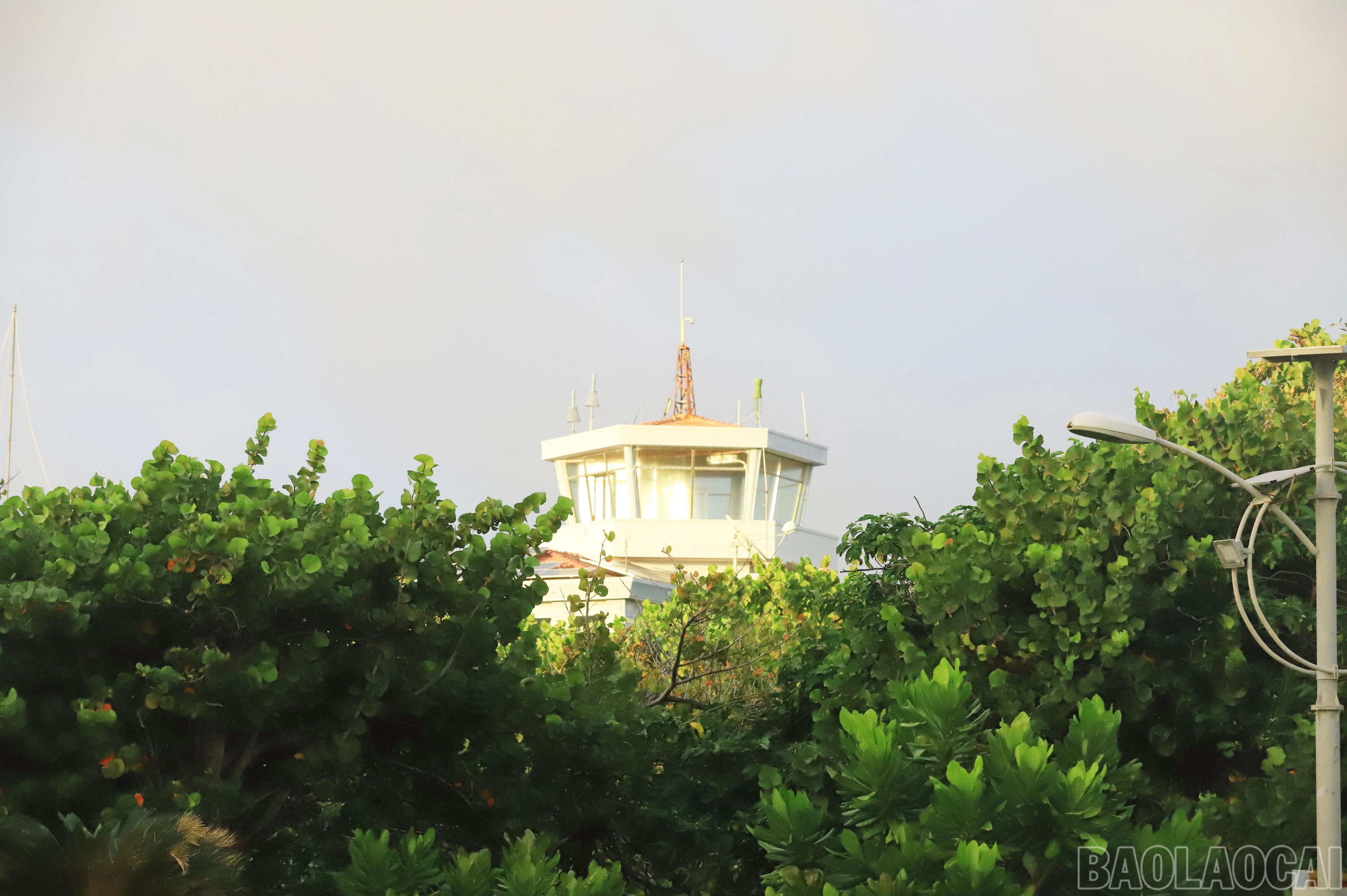 baolaocai-br_8965.jpg