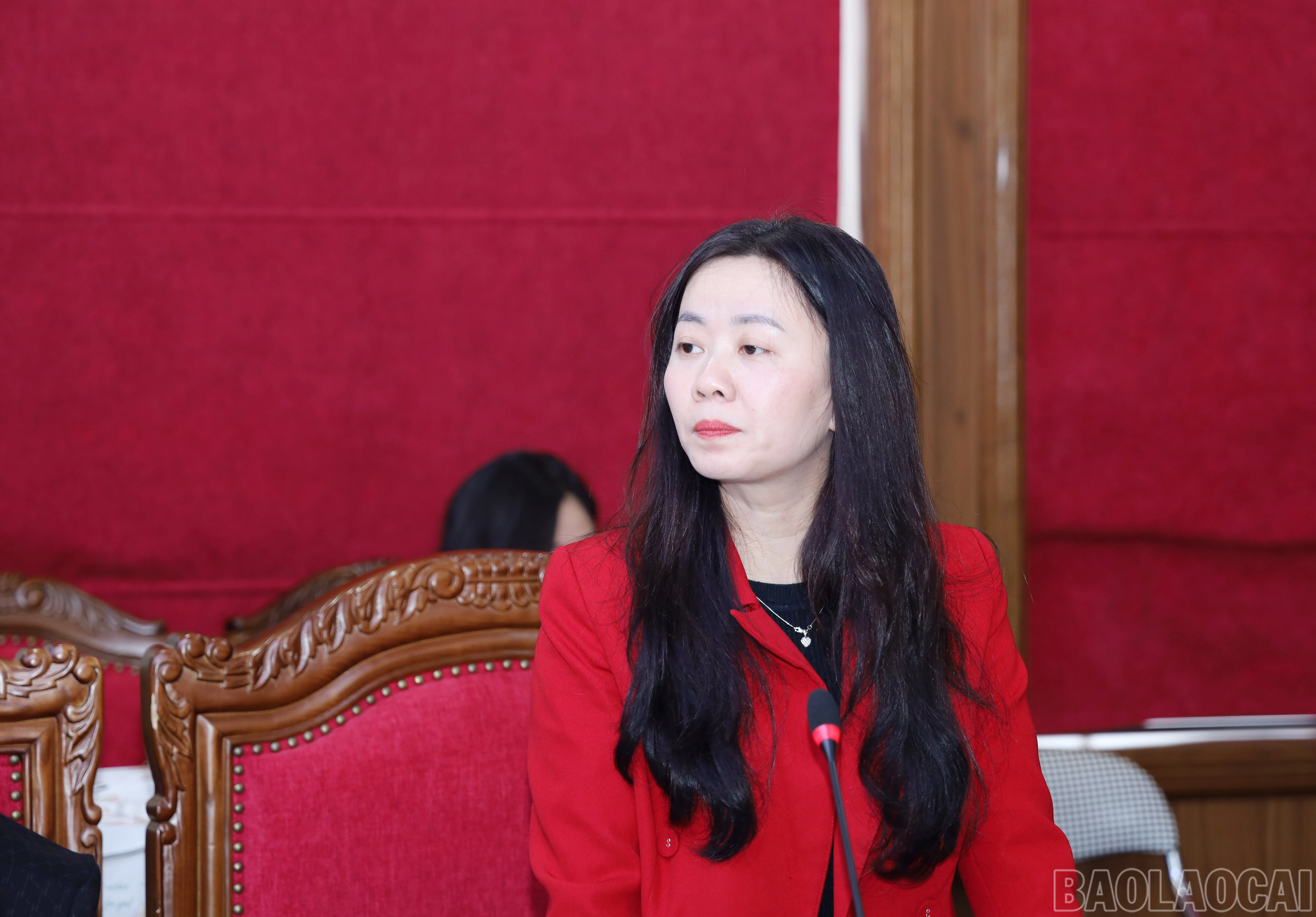 baolaocai-br_8276.jpg