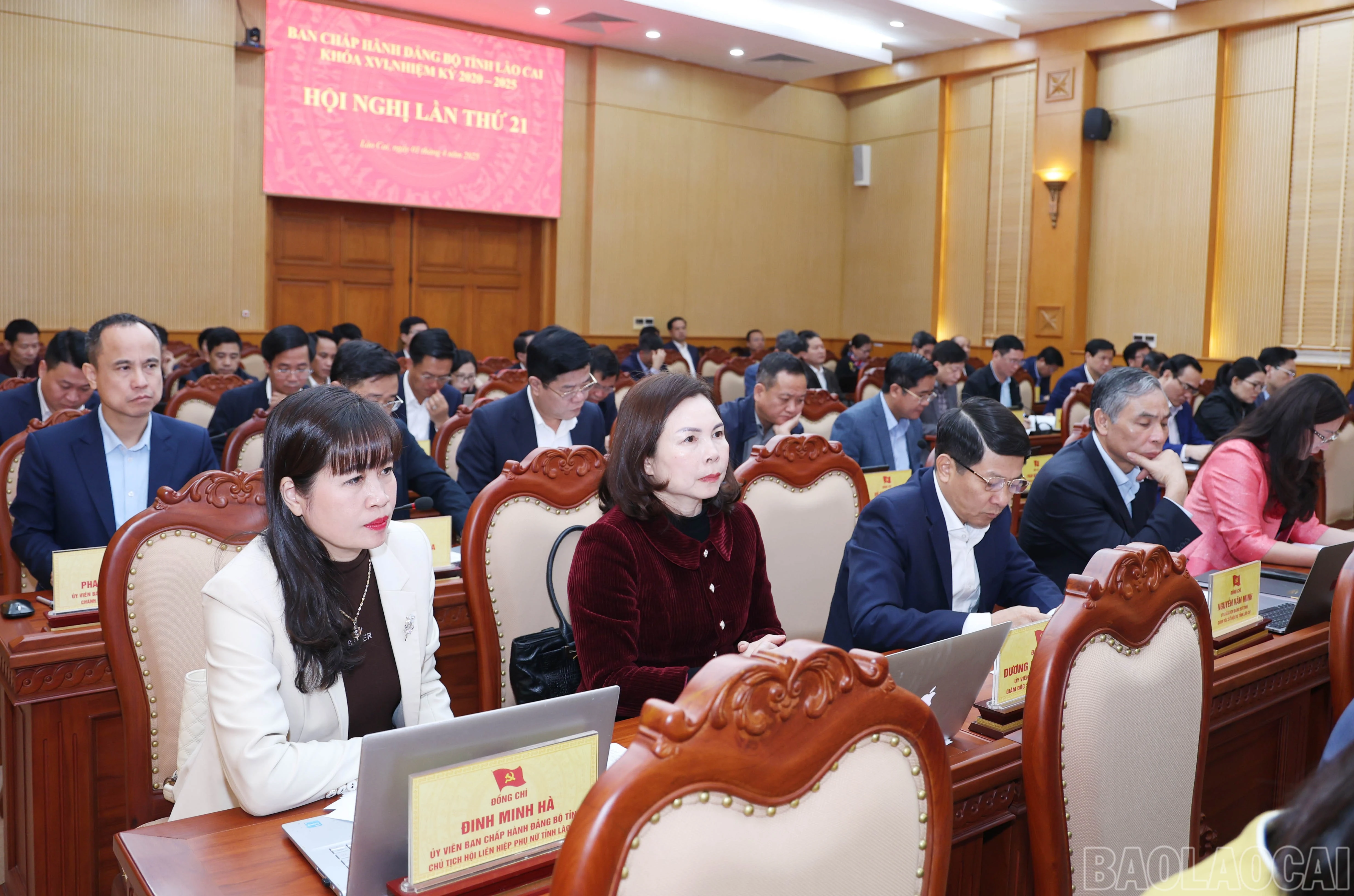 baolaocai-br_3045.jpg