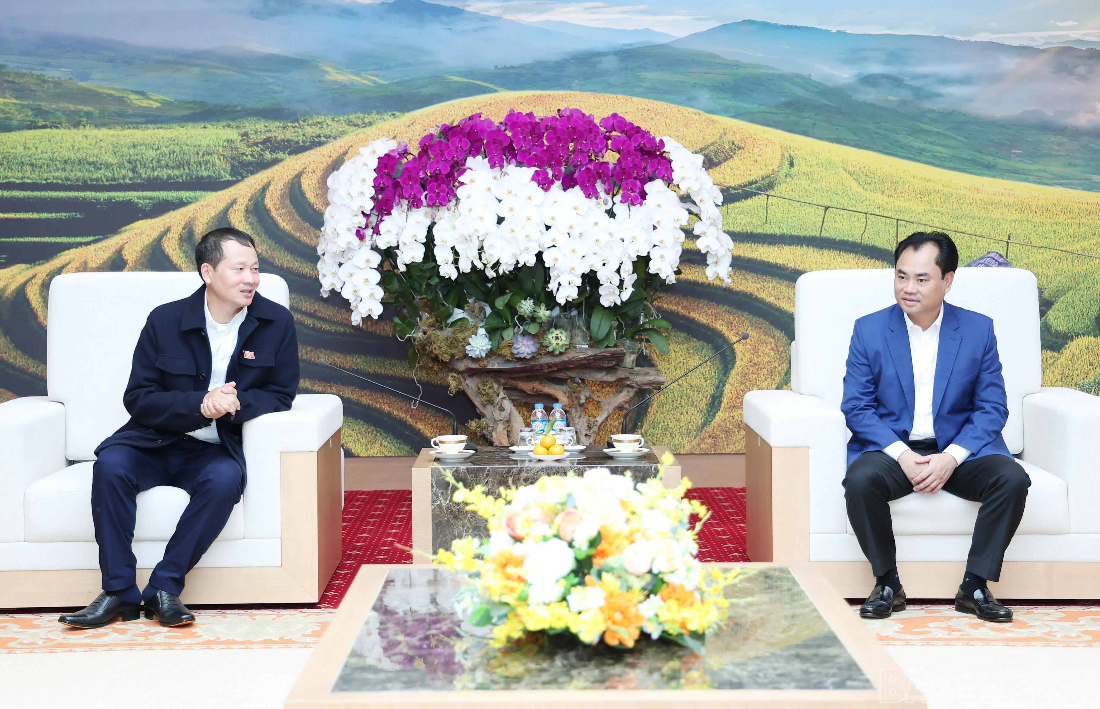 baolaocai-br_img-9364.jpg