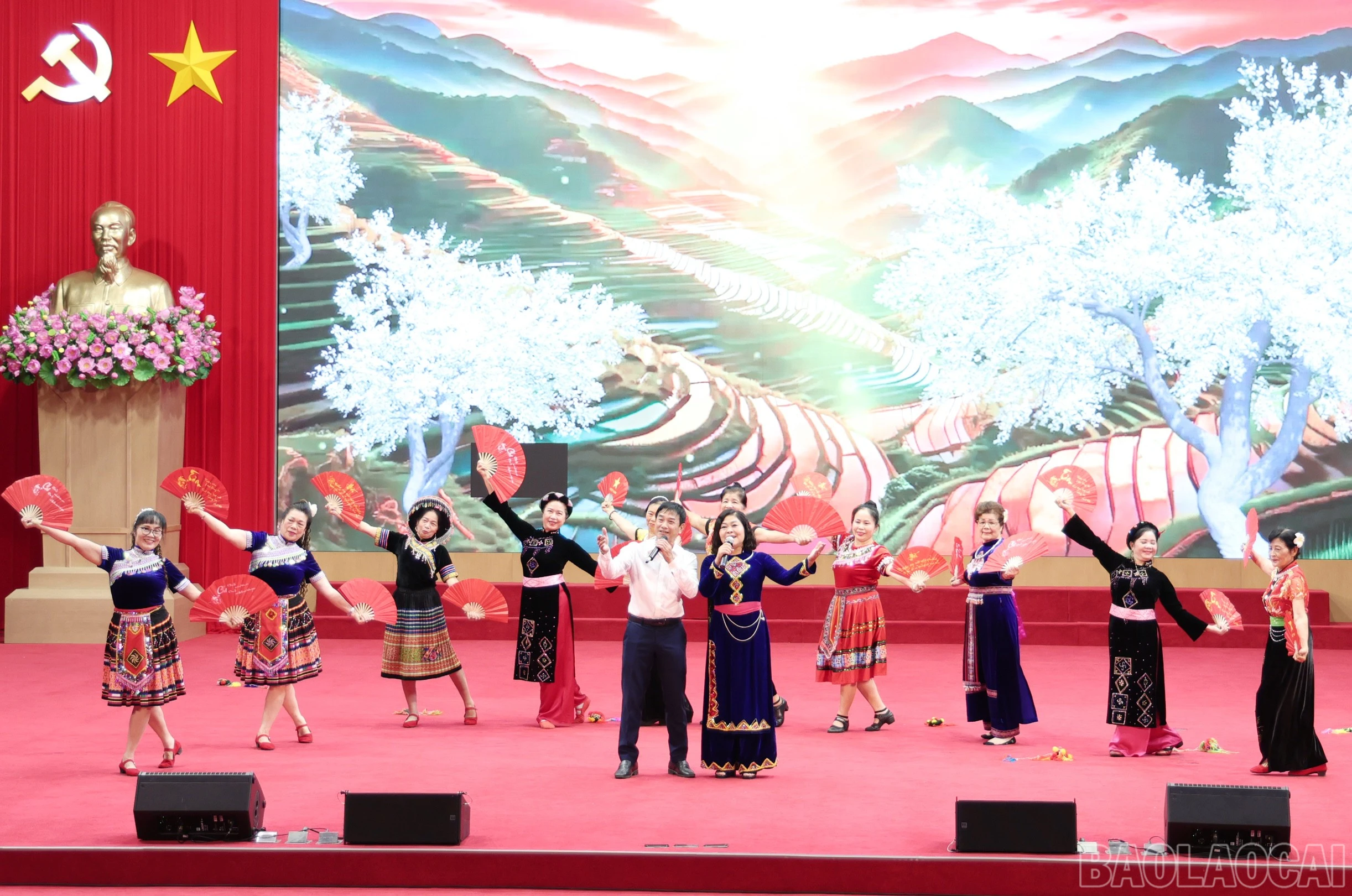 baolaocai-br_img-2982.jpg