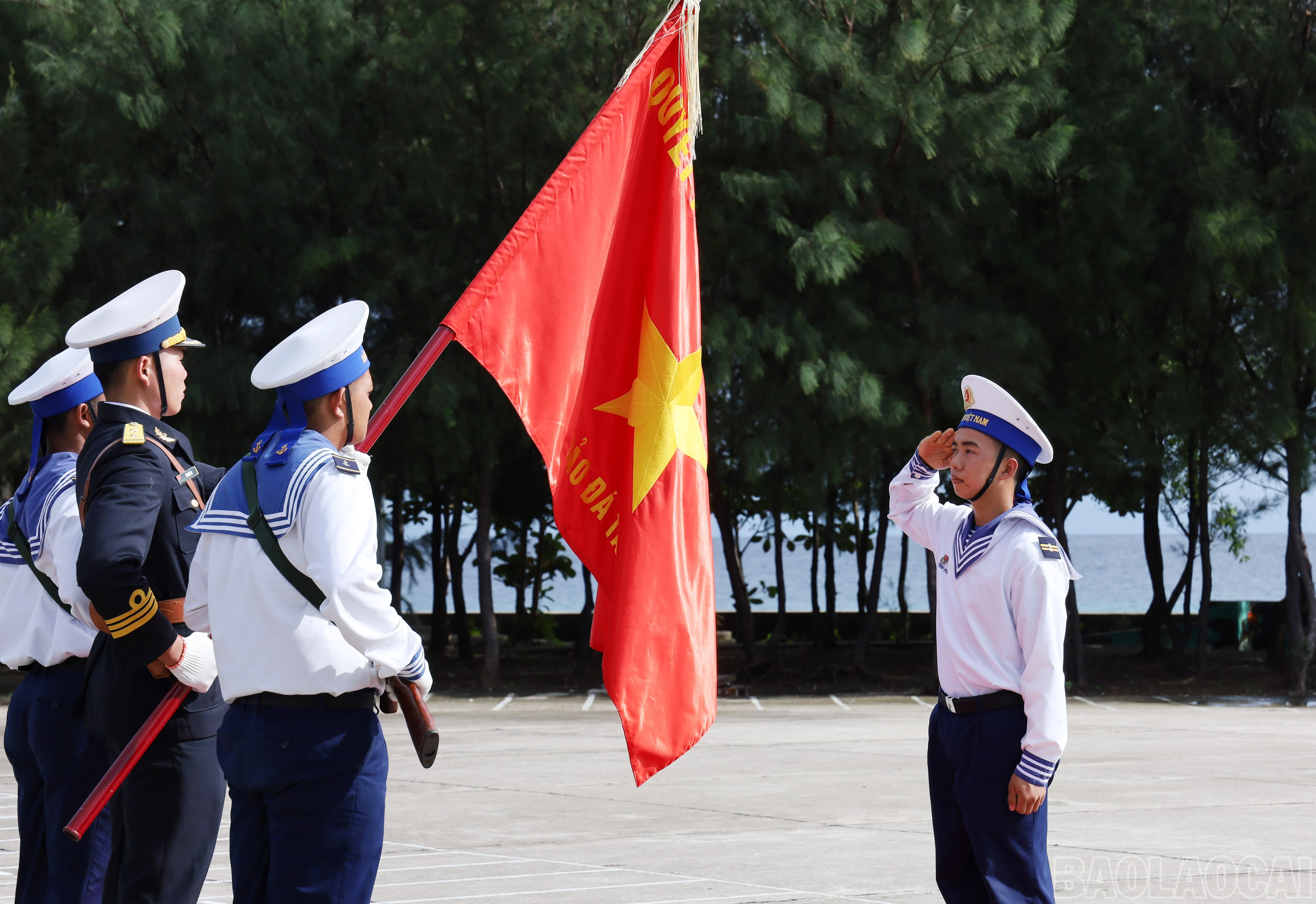 baolaocai-br_8157.jpg