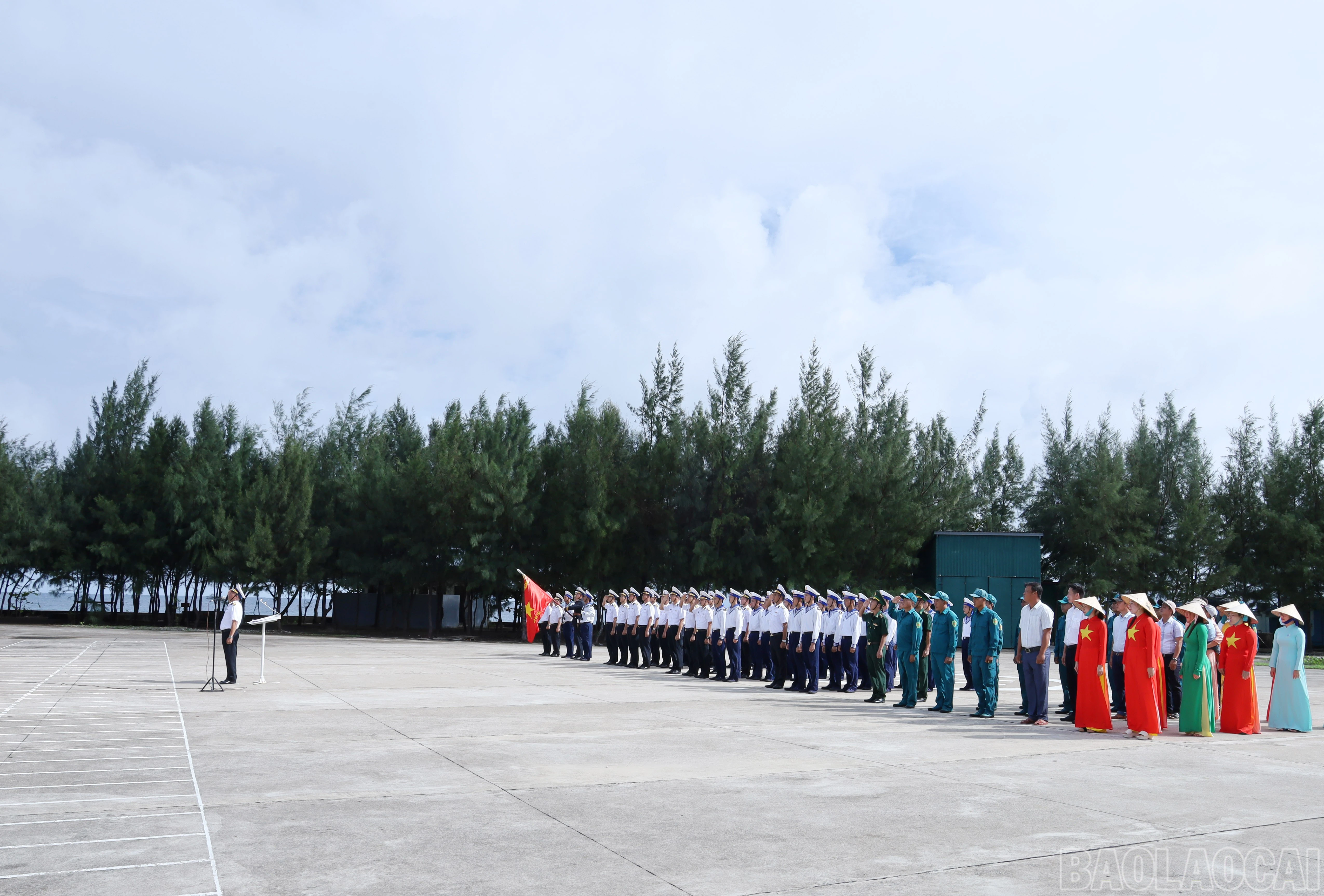 baolaocai-br_8048.jpg