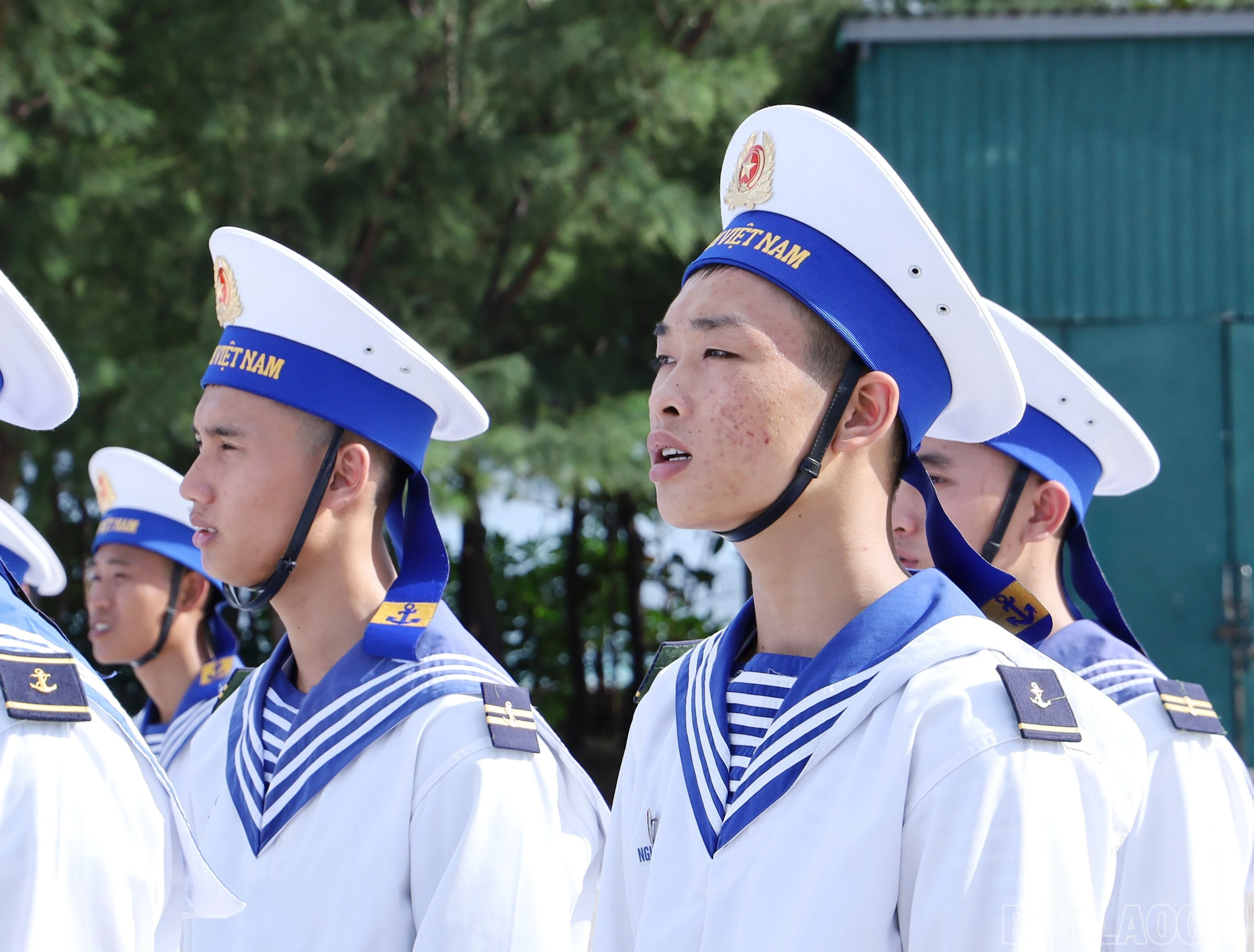 baolaocai-br_8169.jpg