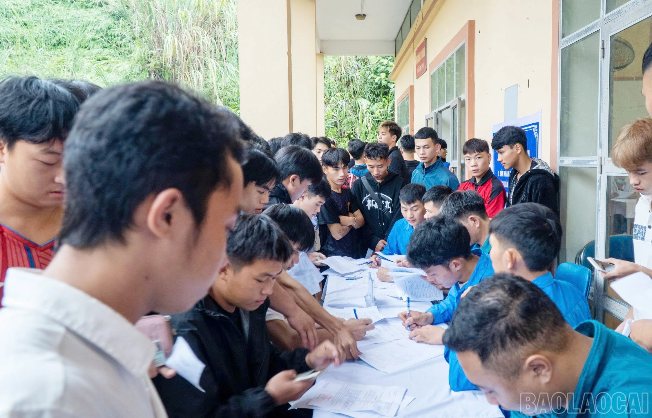 baolaocai-br_112.jpg