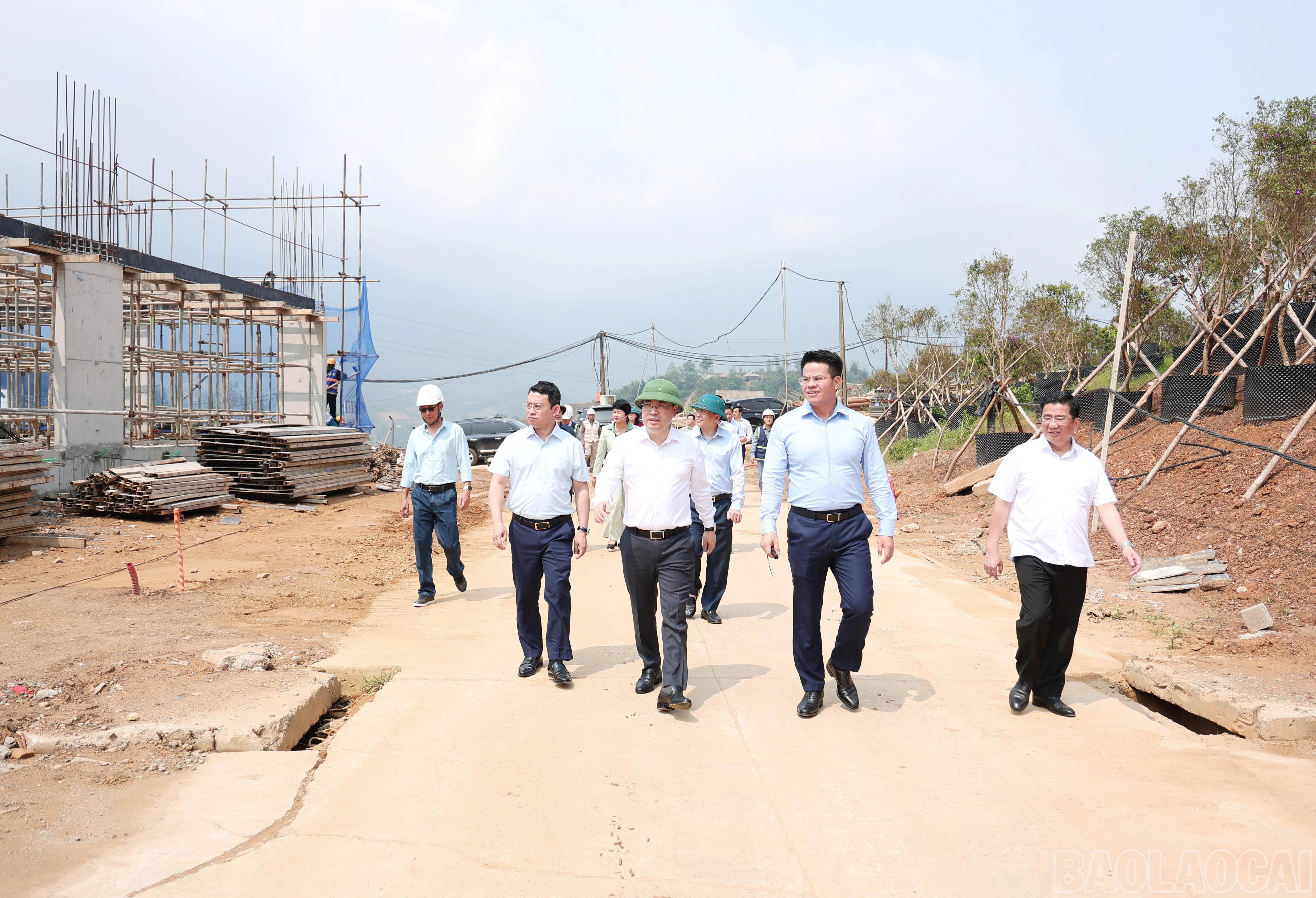 baolaocai-br_img-2434.jpg
