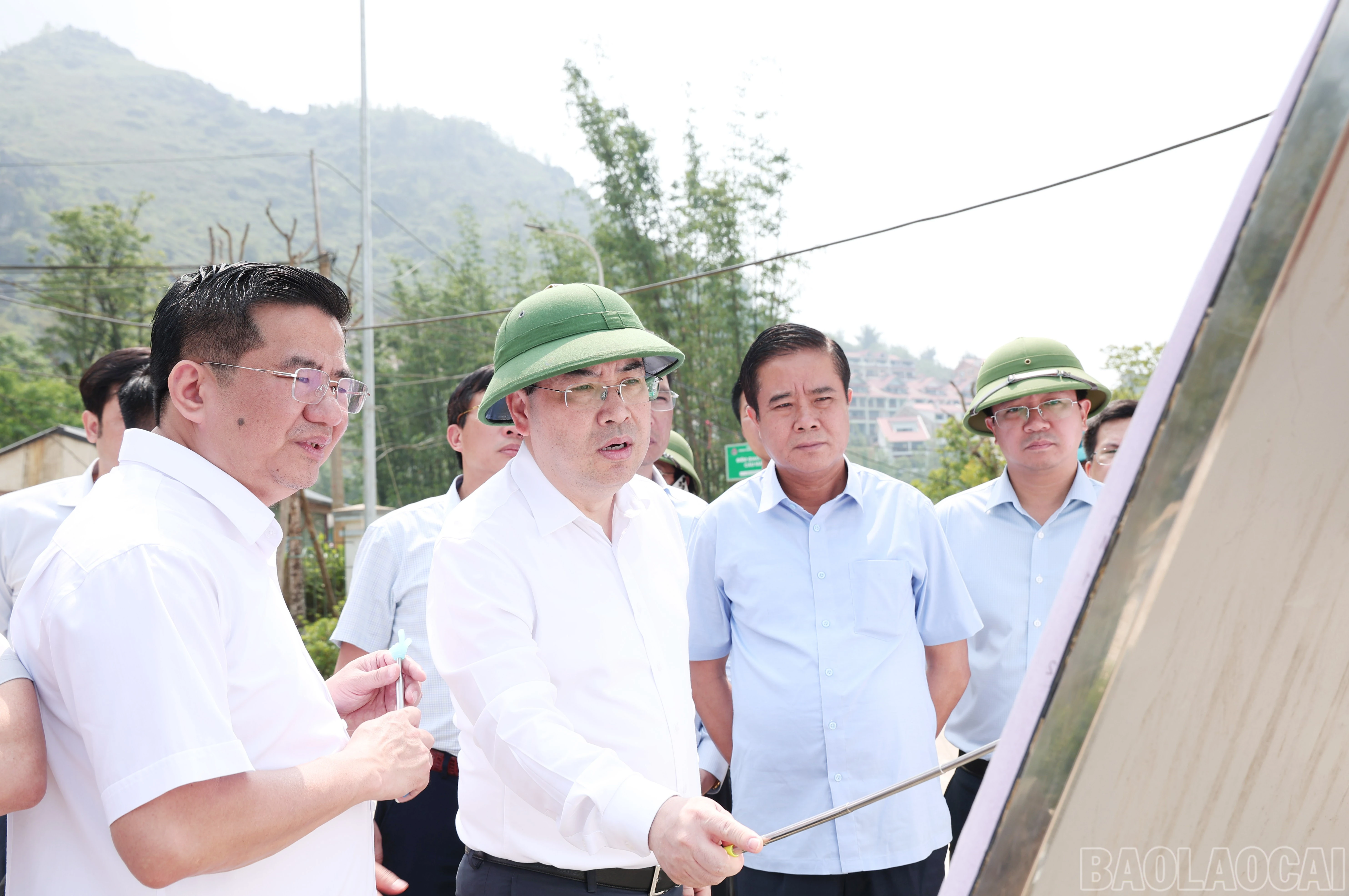 baolaocai-br_img-2488.jpg