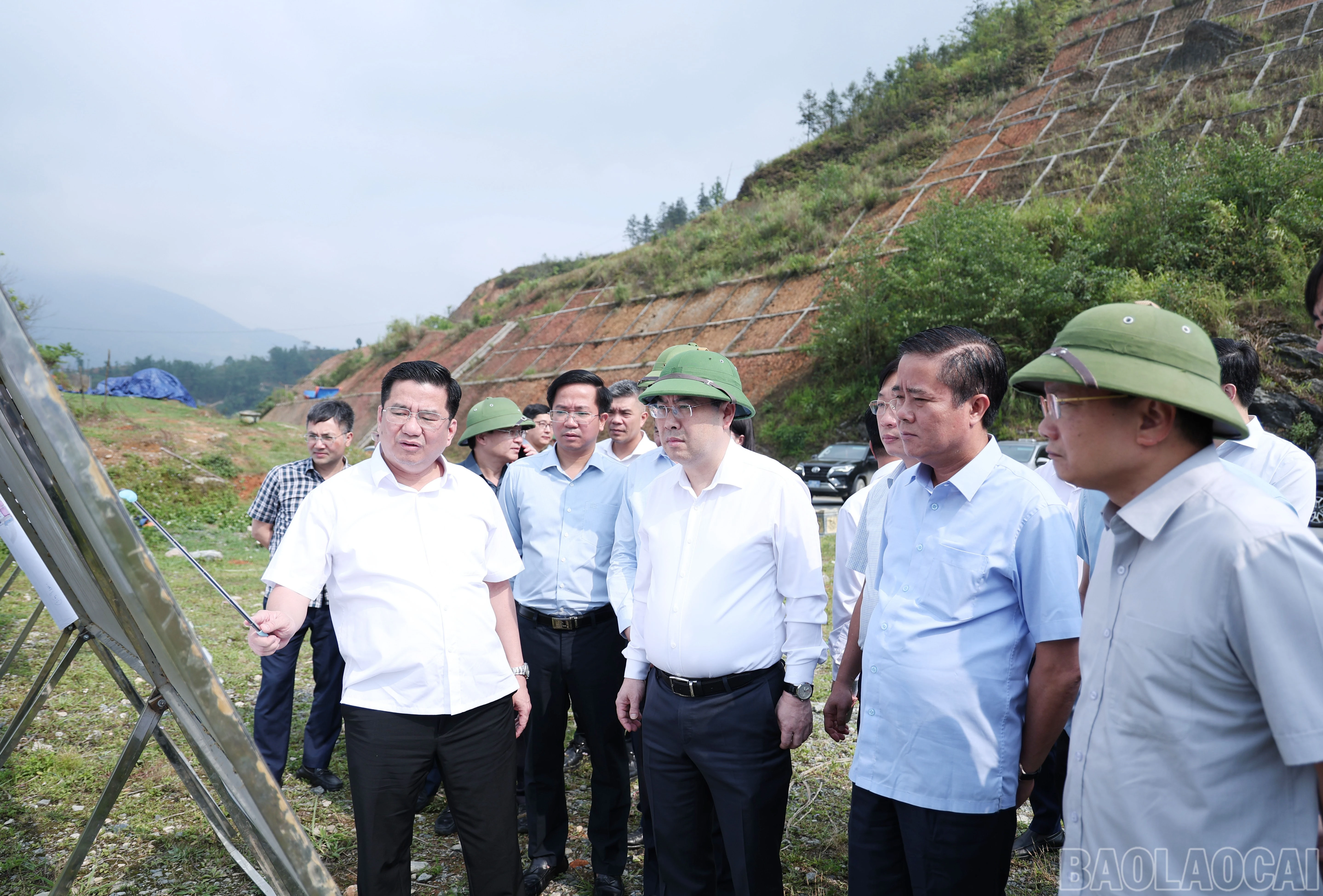 baolaocai-br_img-2273.jpg