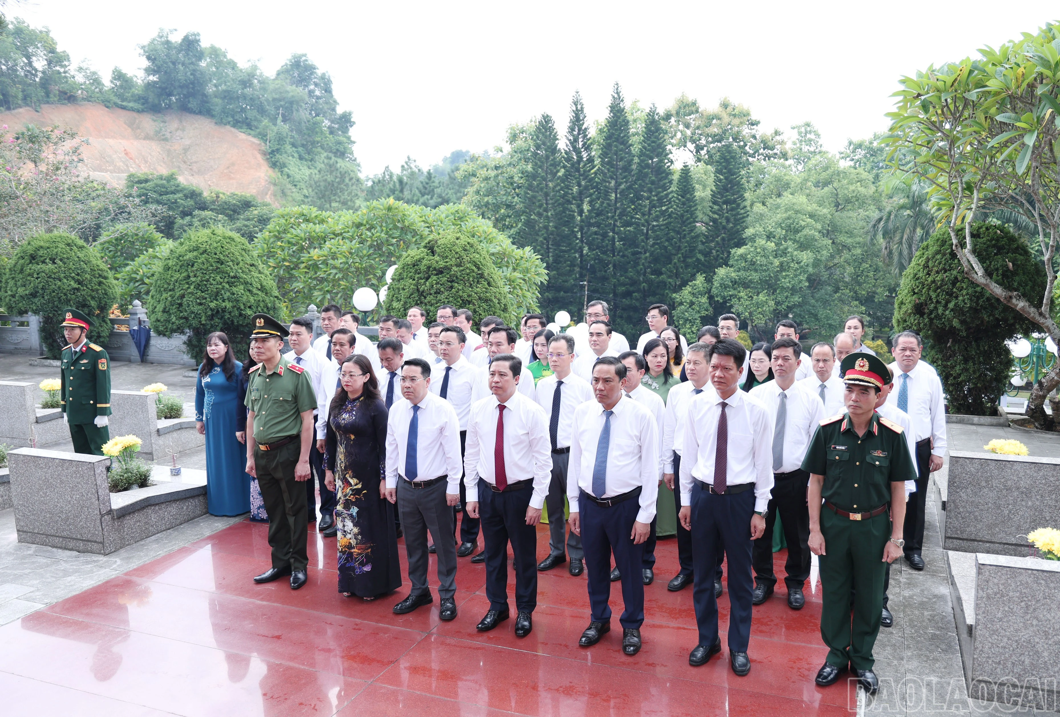 baolaocai-br_img-1634.jpg