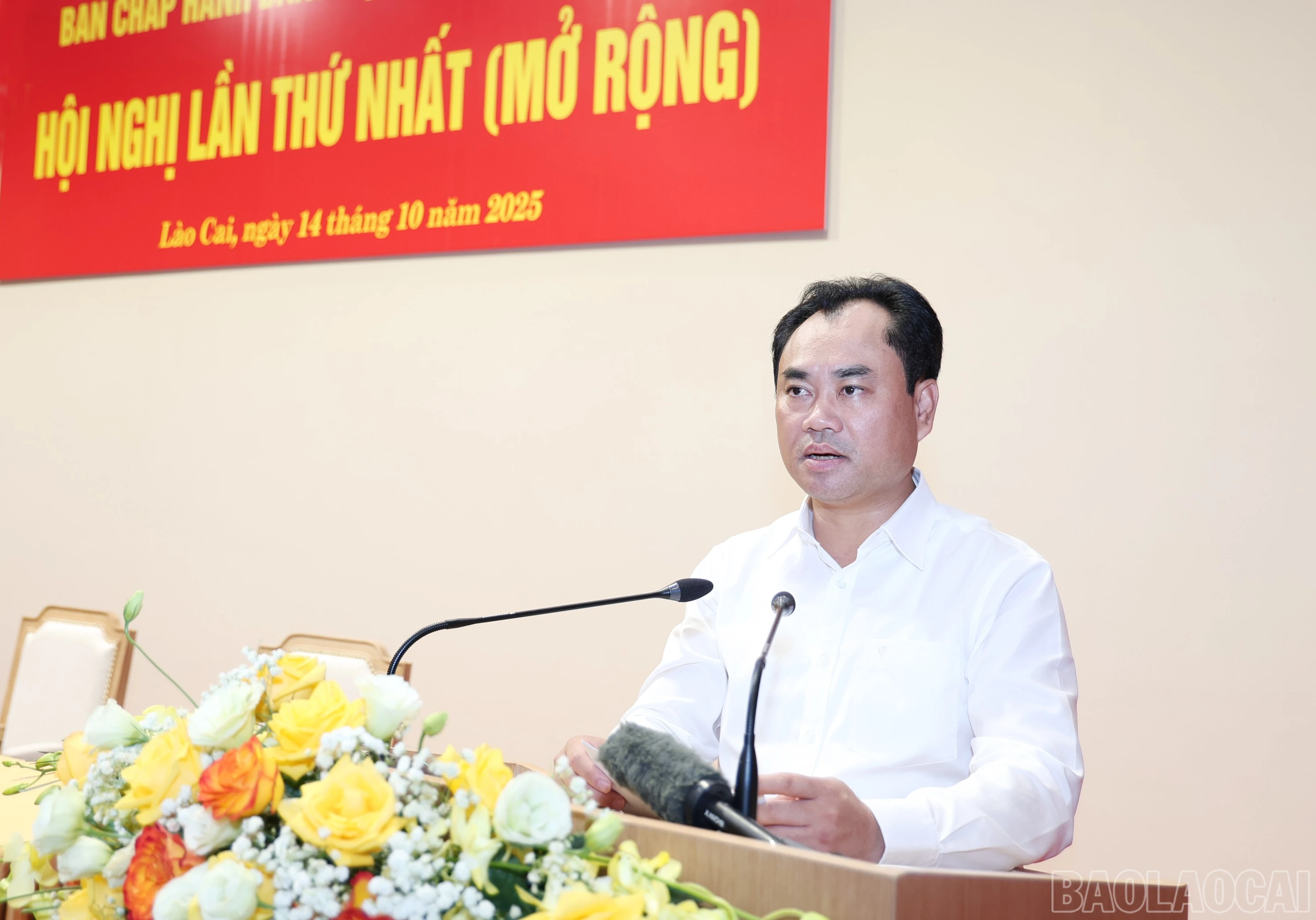 baolaocai-br_img-5175.jpg