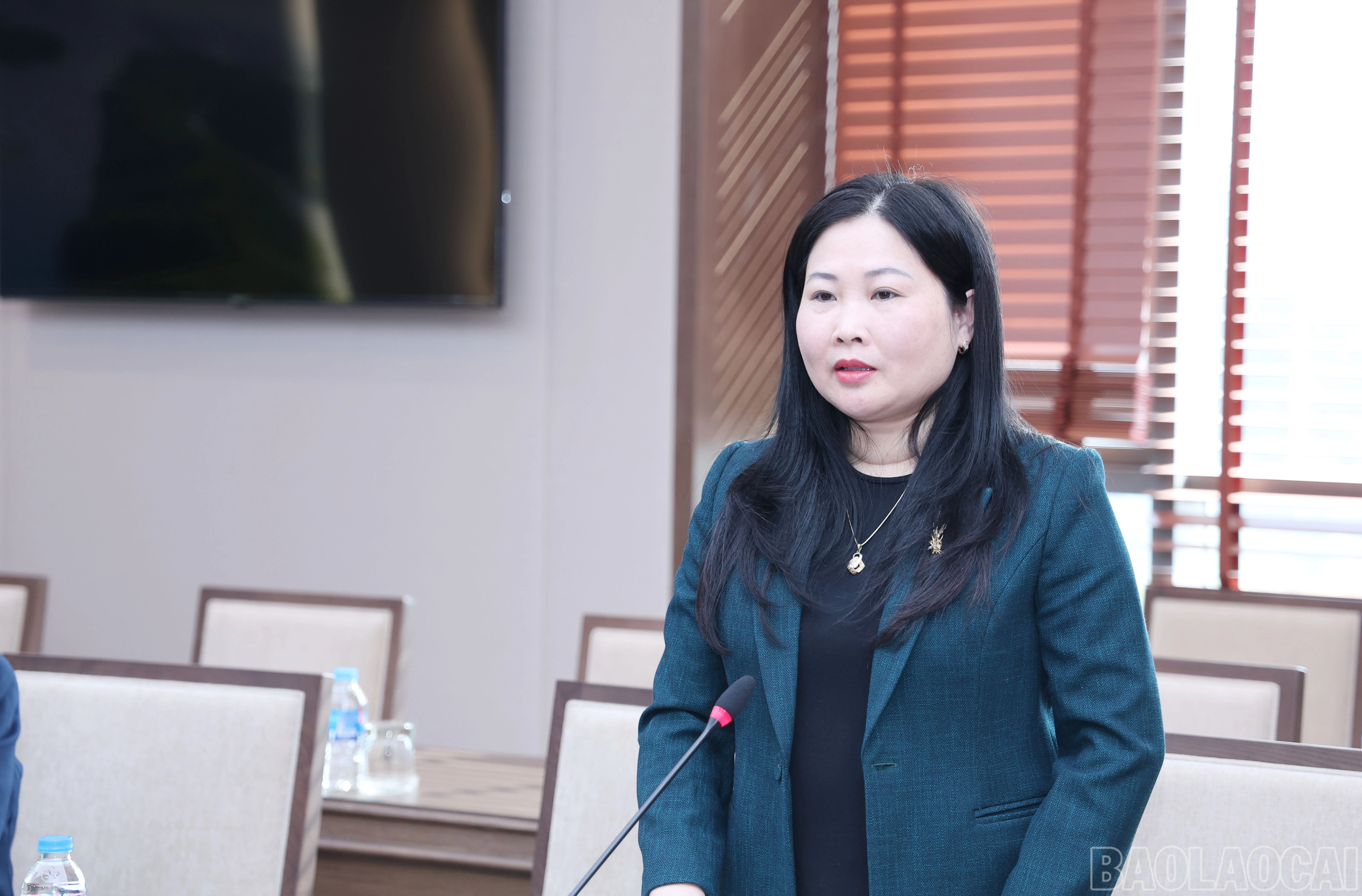 baolaocai-br_img-5292.jpg