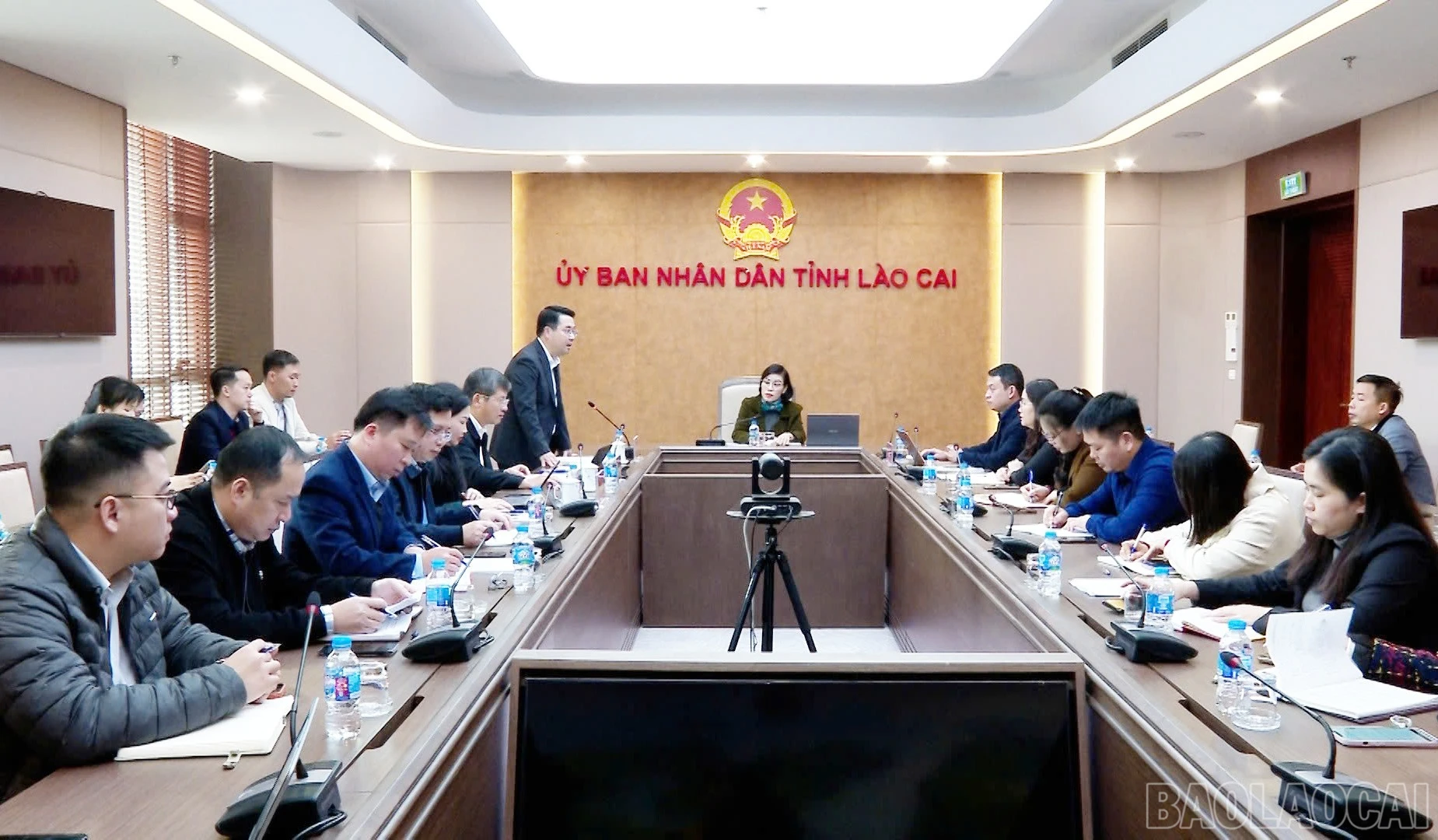 baolaocai-br_33.jpg