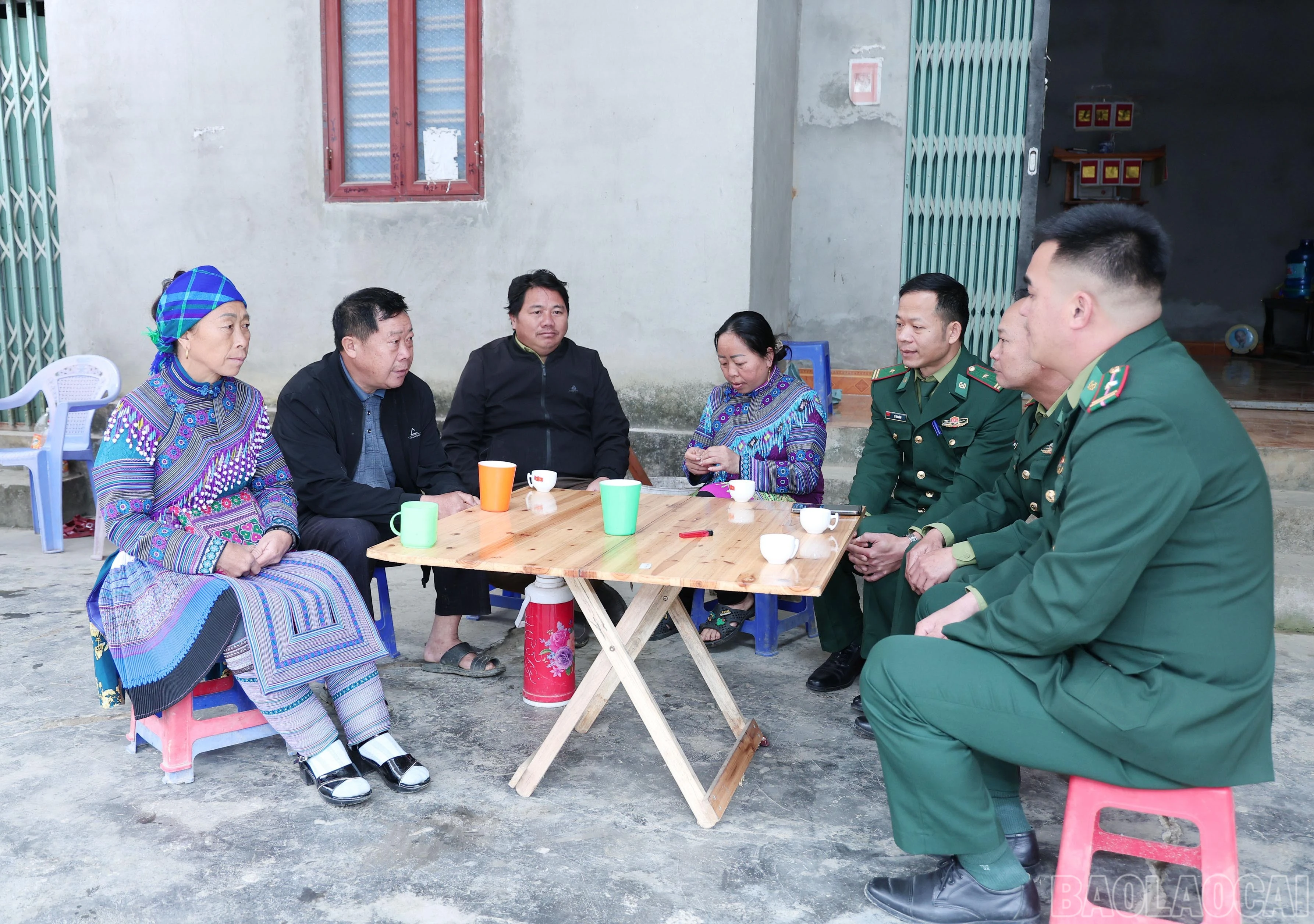 baolaocai-br_9310.jpg