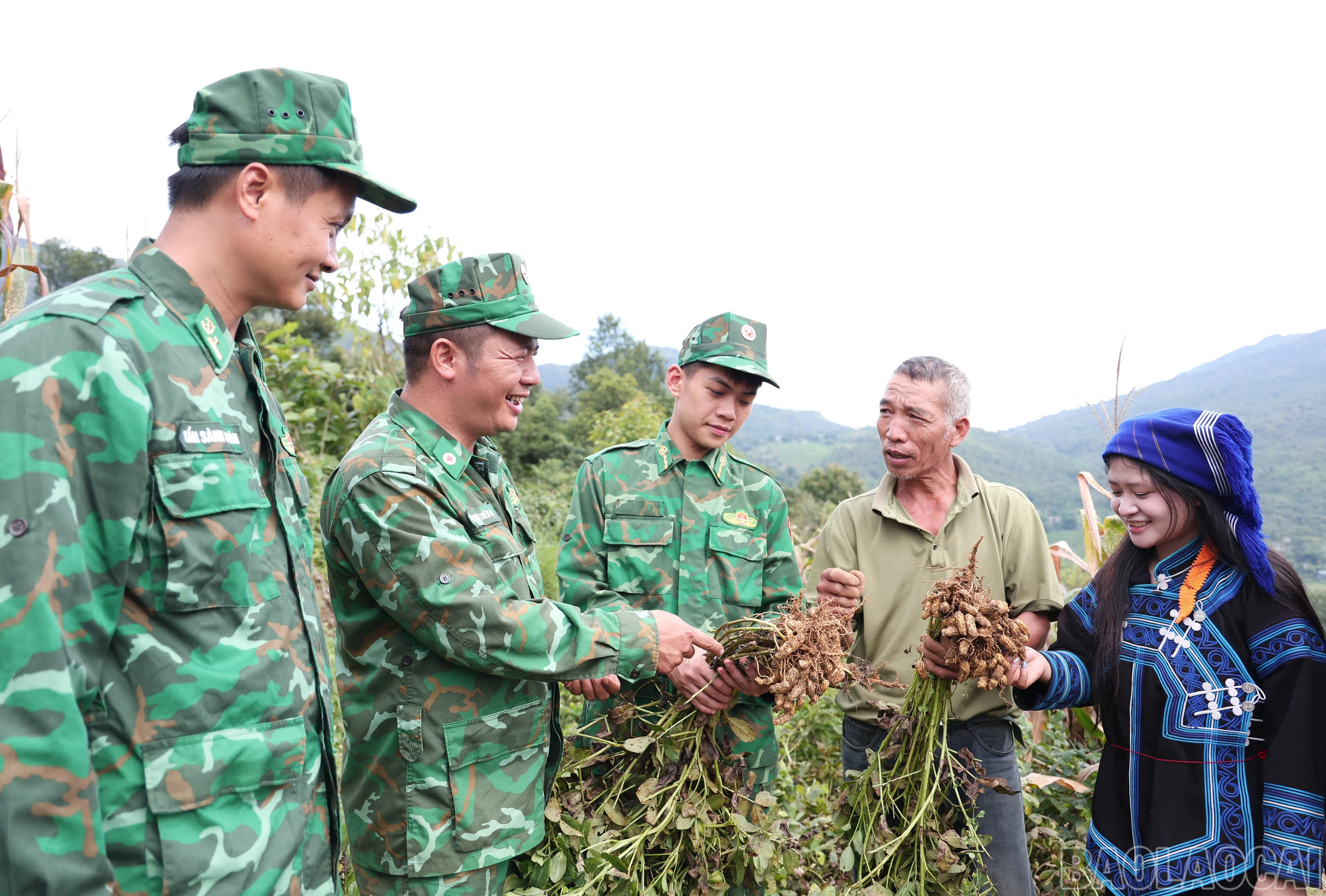 baolaocai-br_2761.jpg