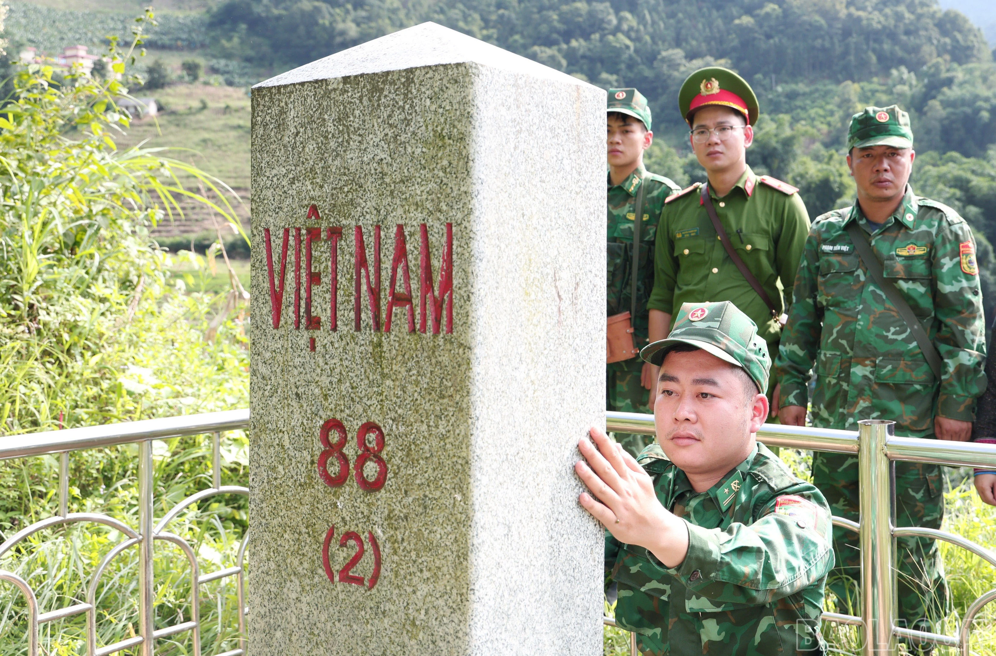 baolaocai-br_2597.jpg