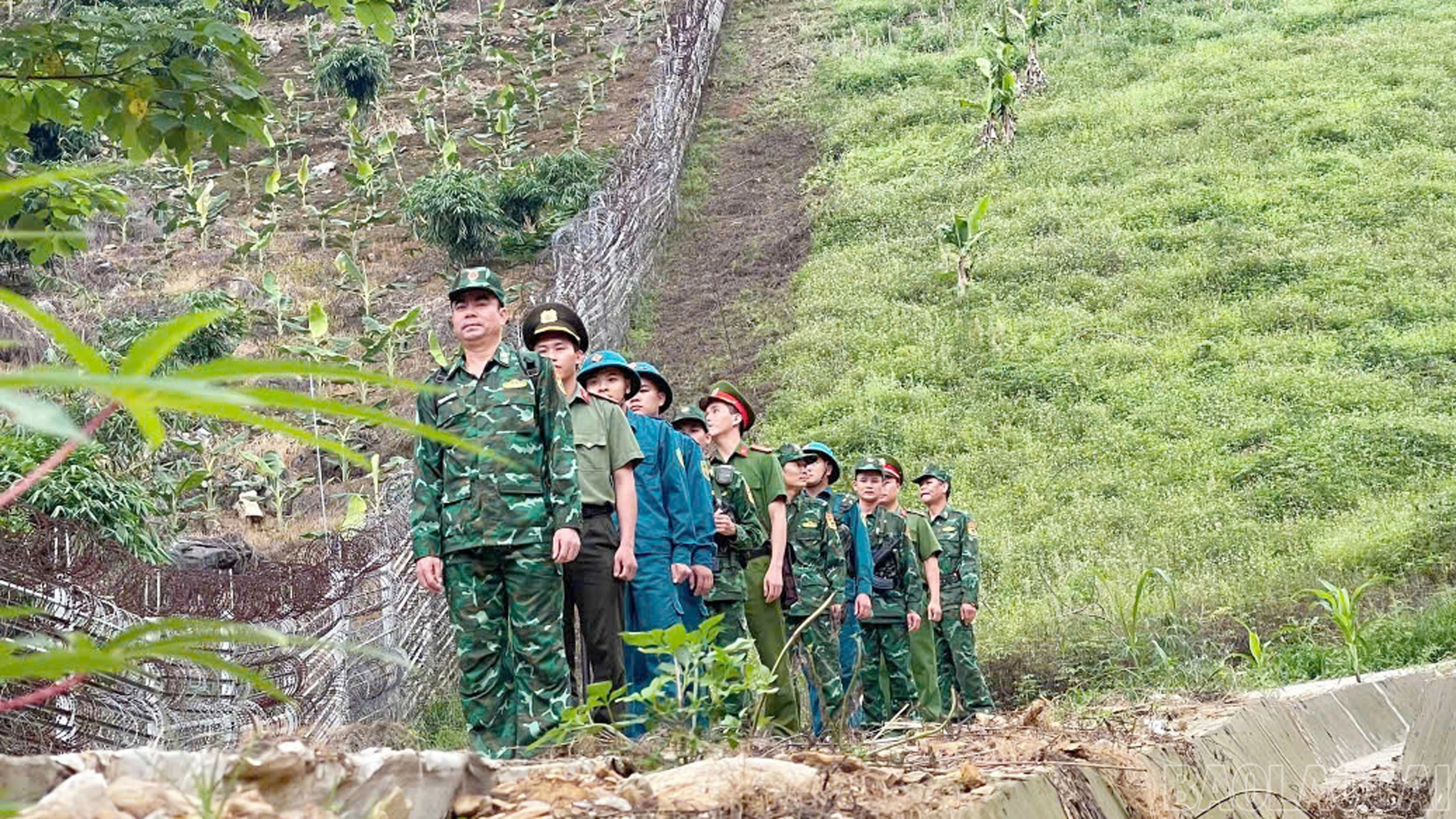 baolaocai-br_345.jpg