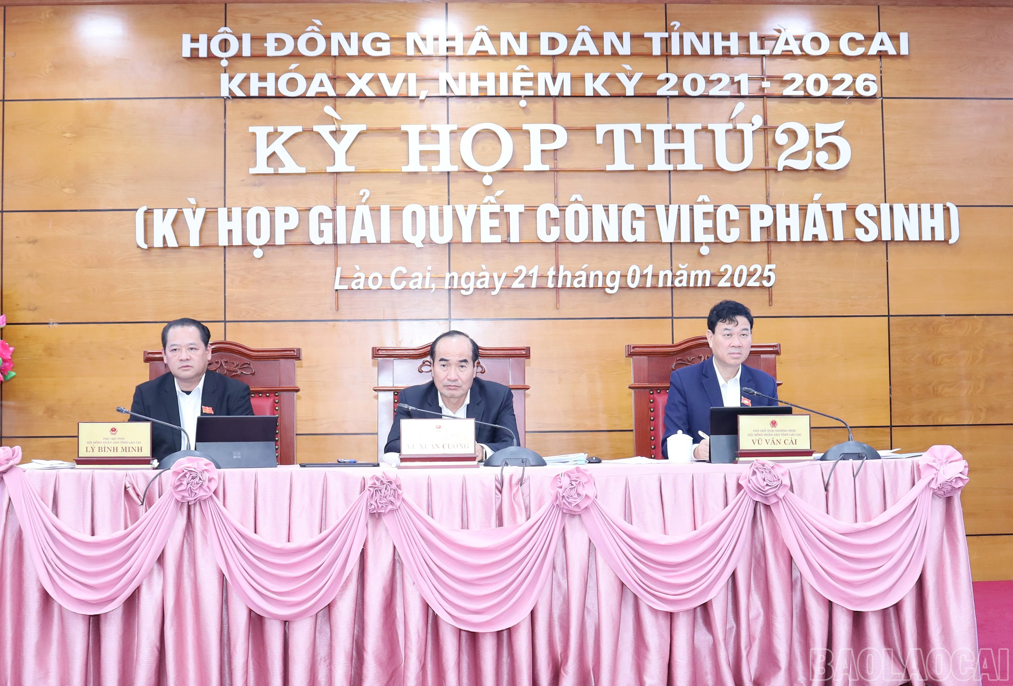 baolaocai-br_8958.jpg